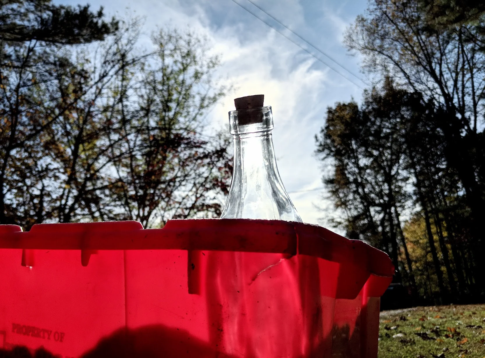 8 Ways to Calm Down About Impending Climate Change