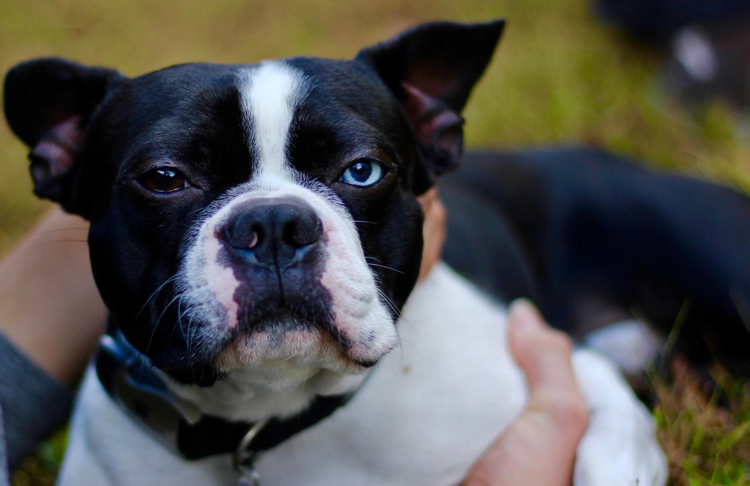 MEDIA CHALLENGE: Asymmetric