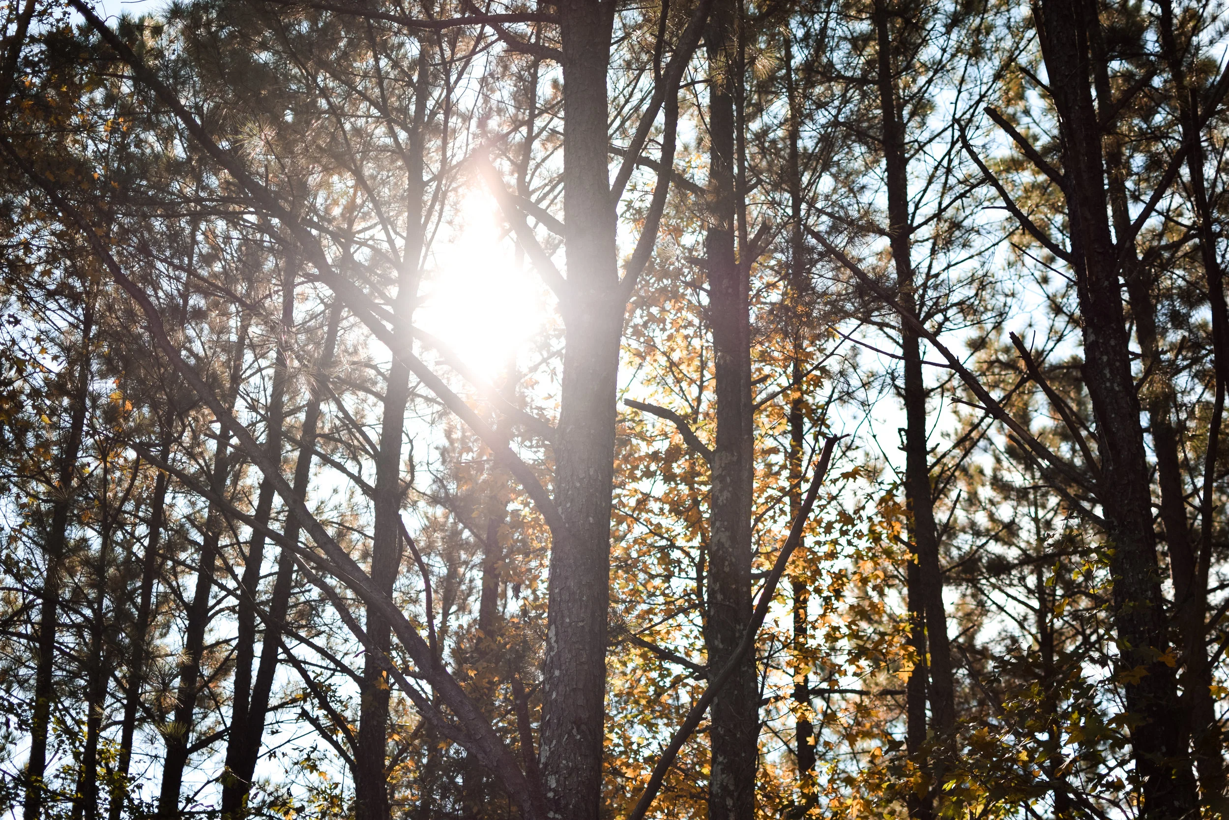 The Way We Feel: Peaceful