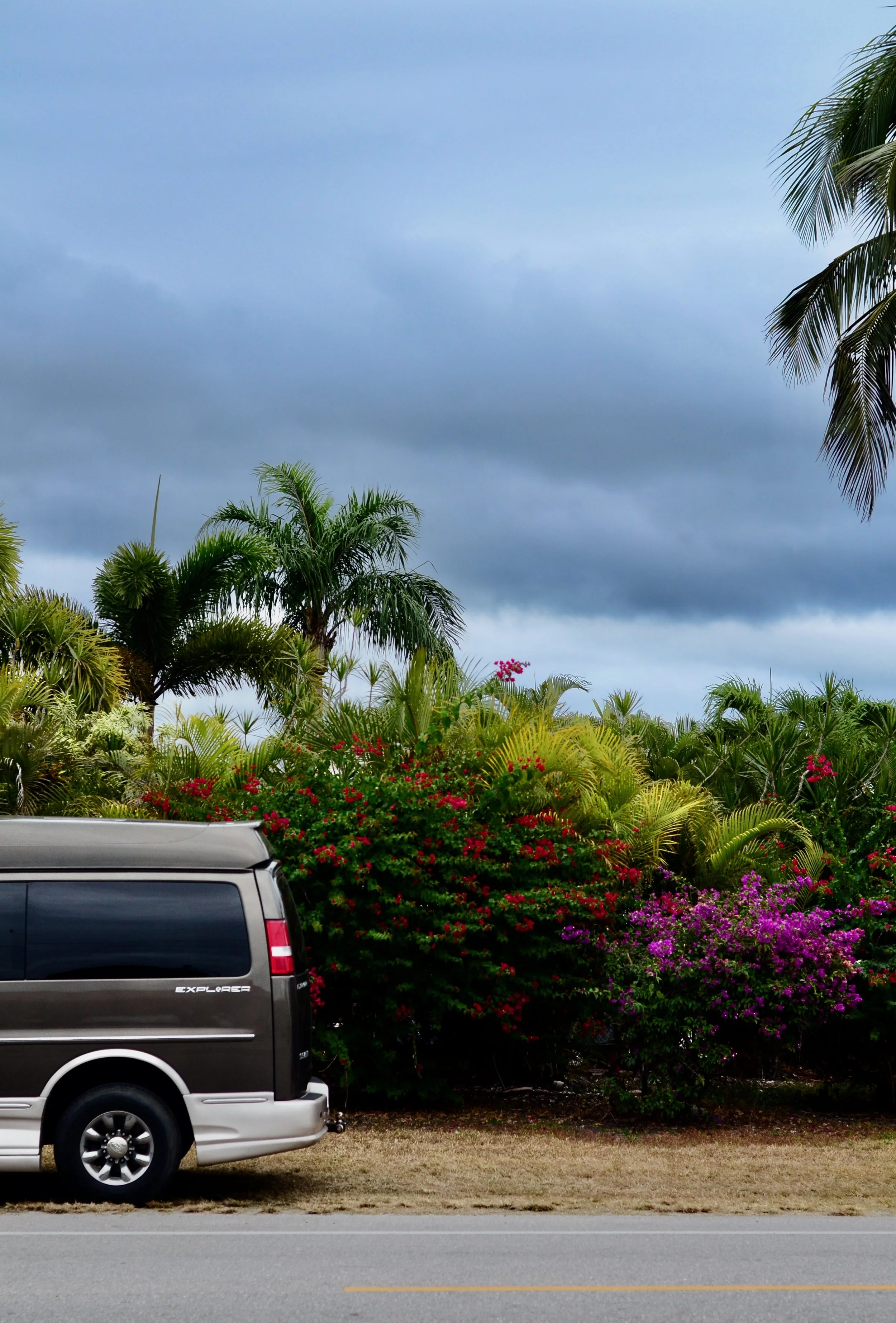 Create Your Own Adventure