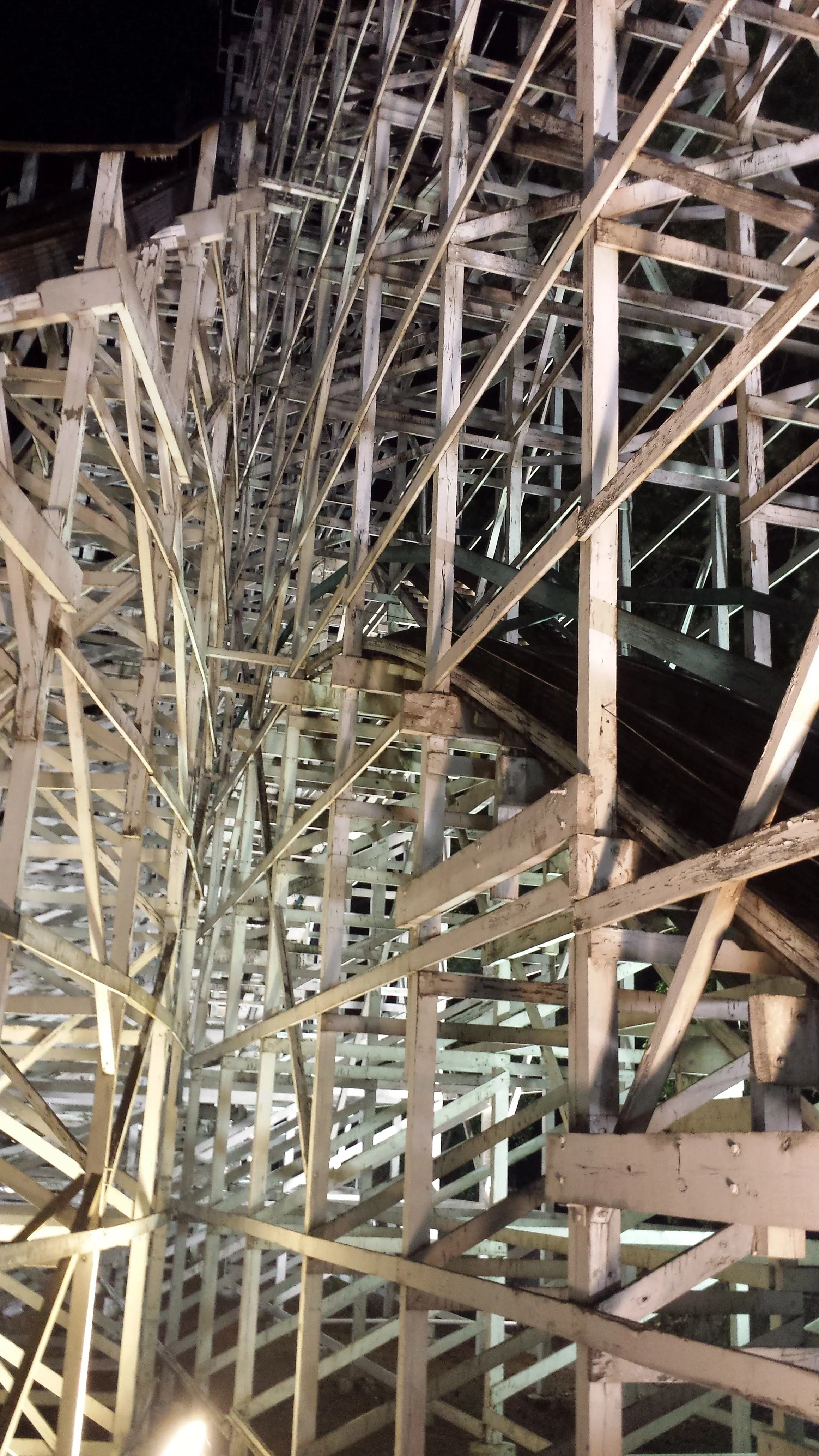 Roller Coaster Summer