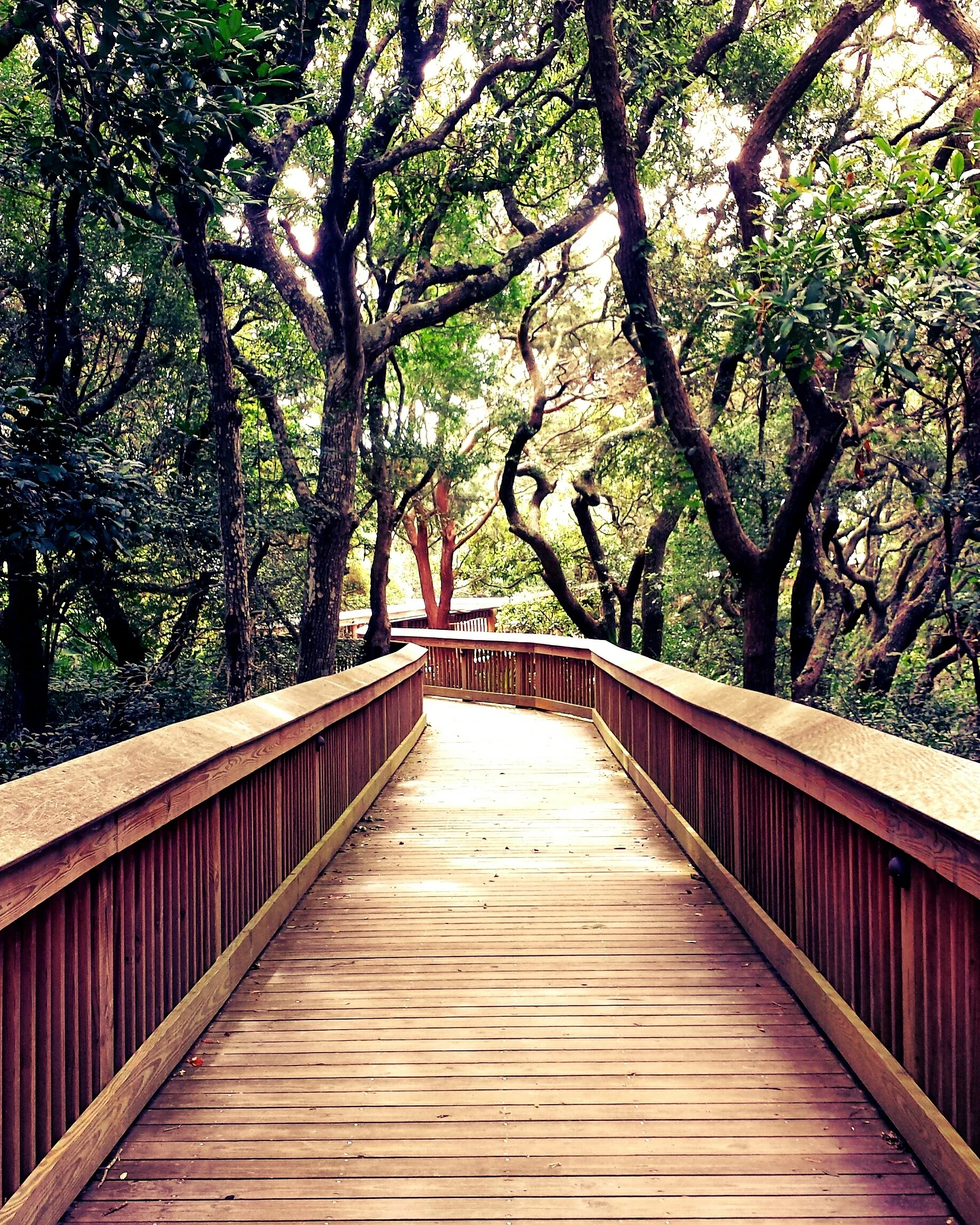 the Bridges i travel