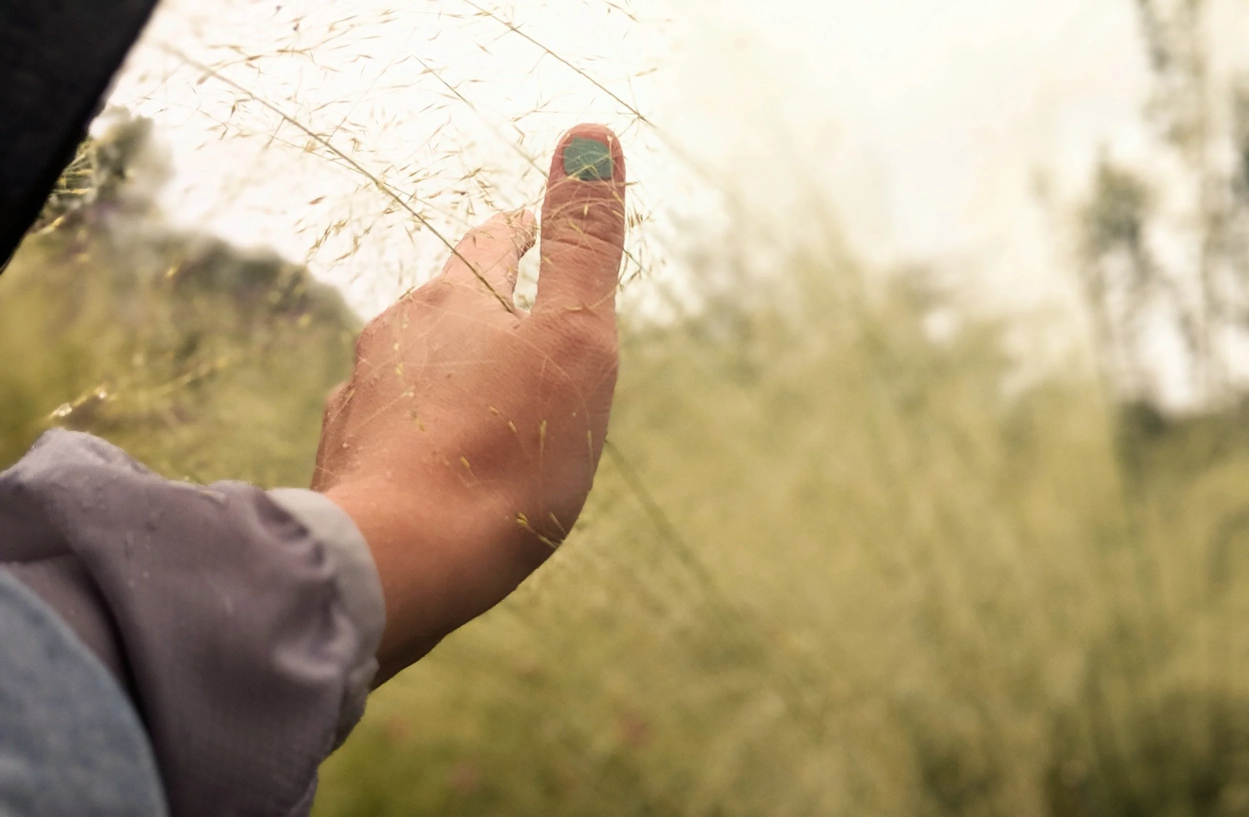 Everything Is Waiting