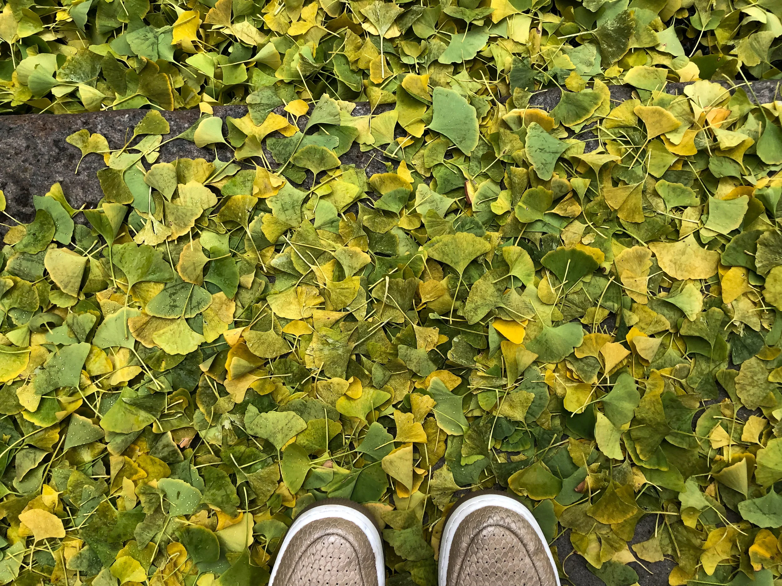 MEDIA CHALLENGE: Crunch