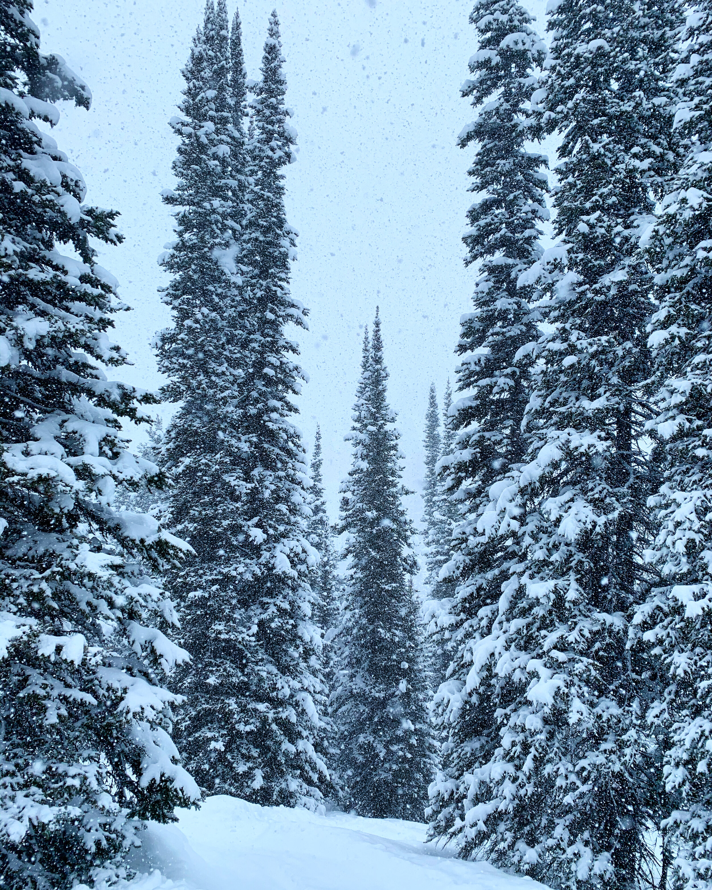 MEDIA CHALLENGE: Social Distancing