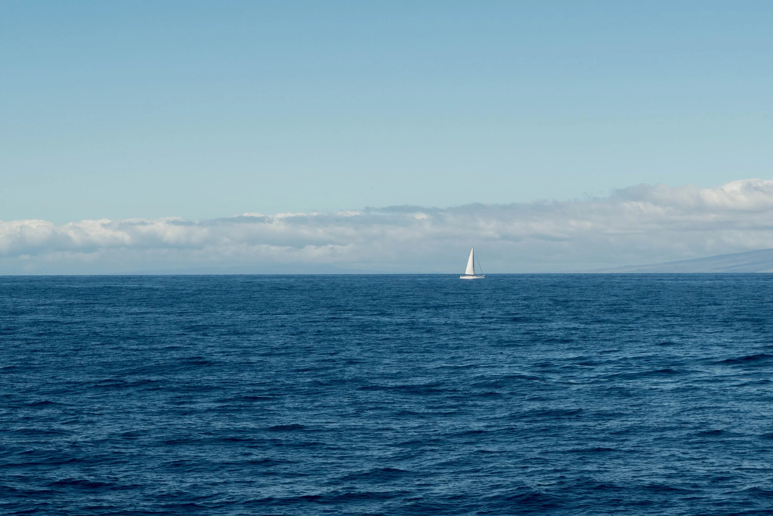Living Like a Ship 