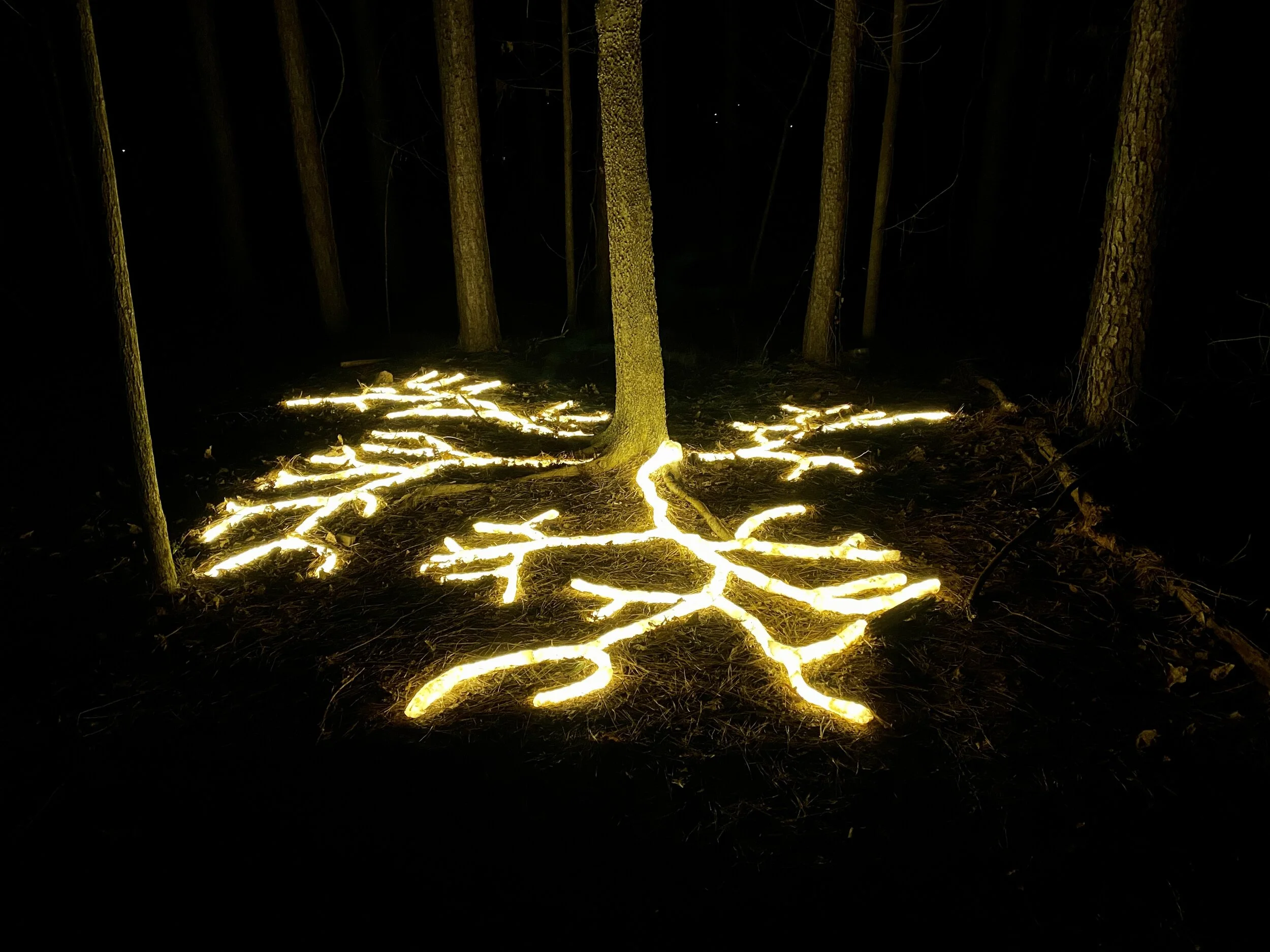 MEDIA CHALLENGE: Earth Day