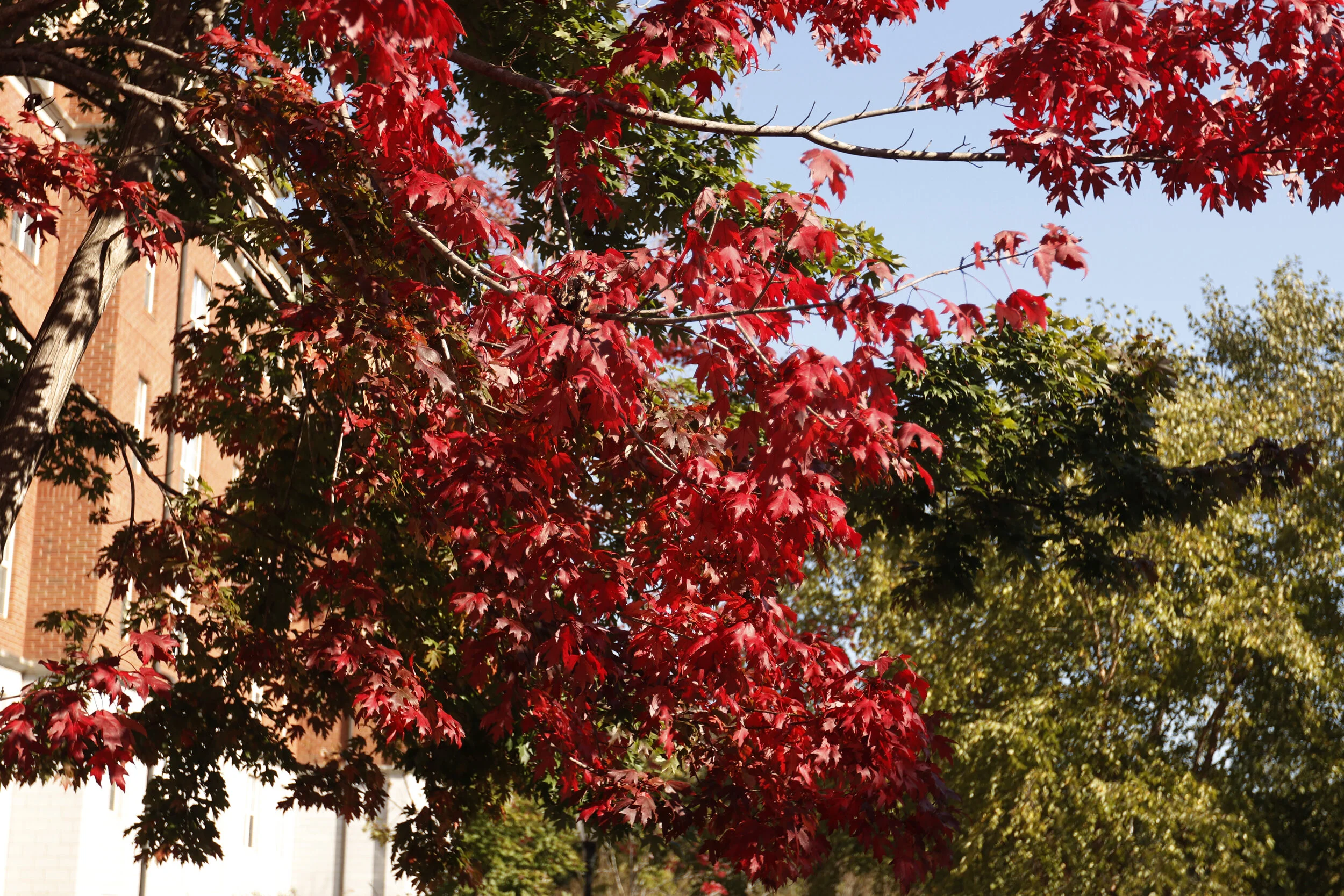 in defense of never letting anyone go