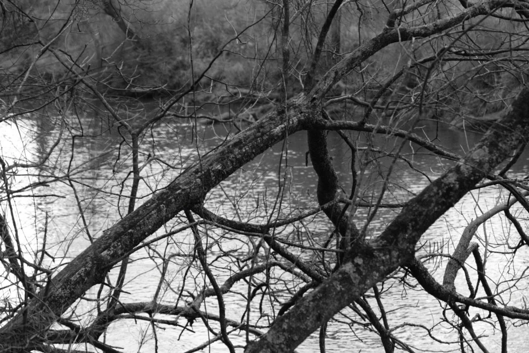 Beneath the Marshlands