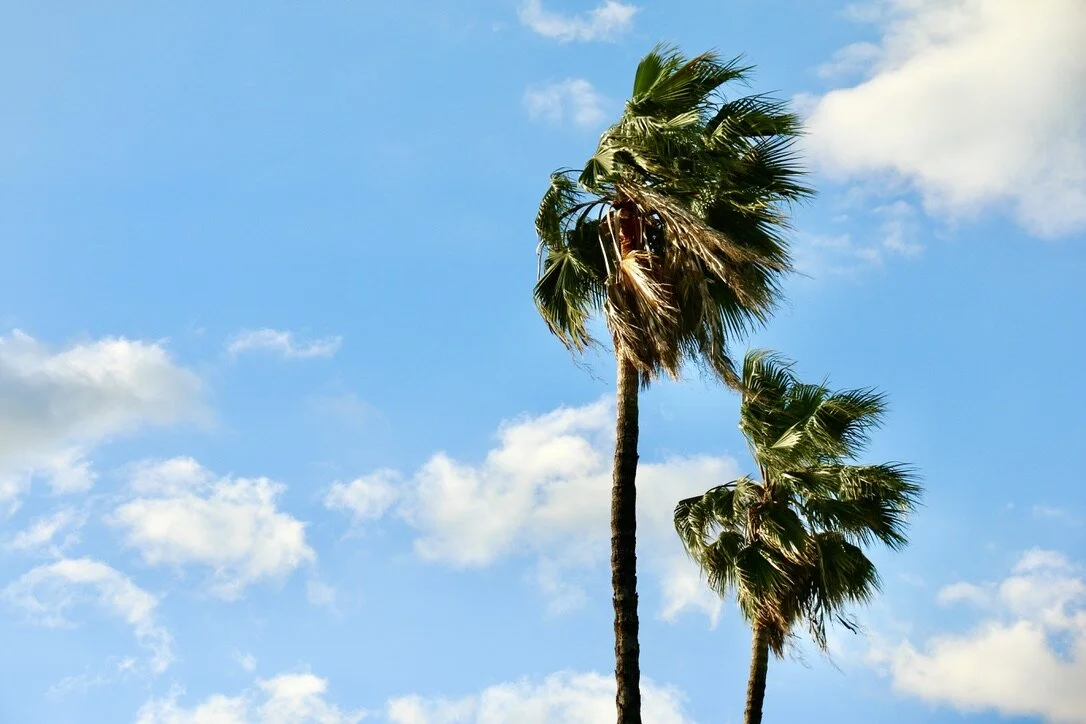 a guide to romanticizing your life