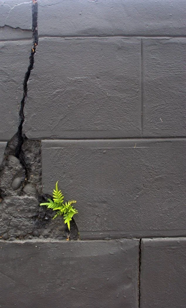 The Edge of the Past 