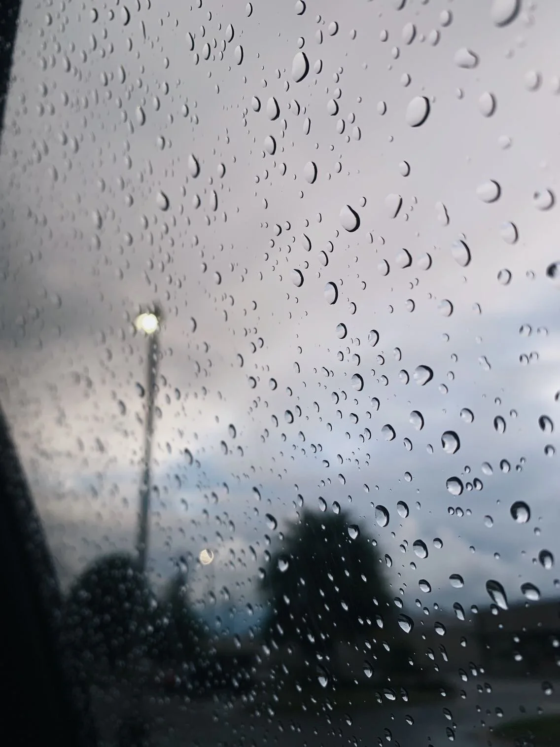 MEDIA CHALLENGE: Cozy