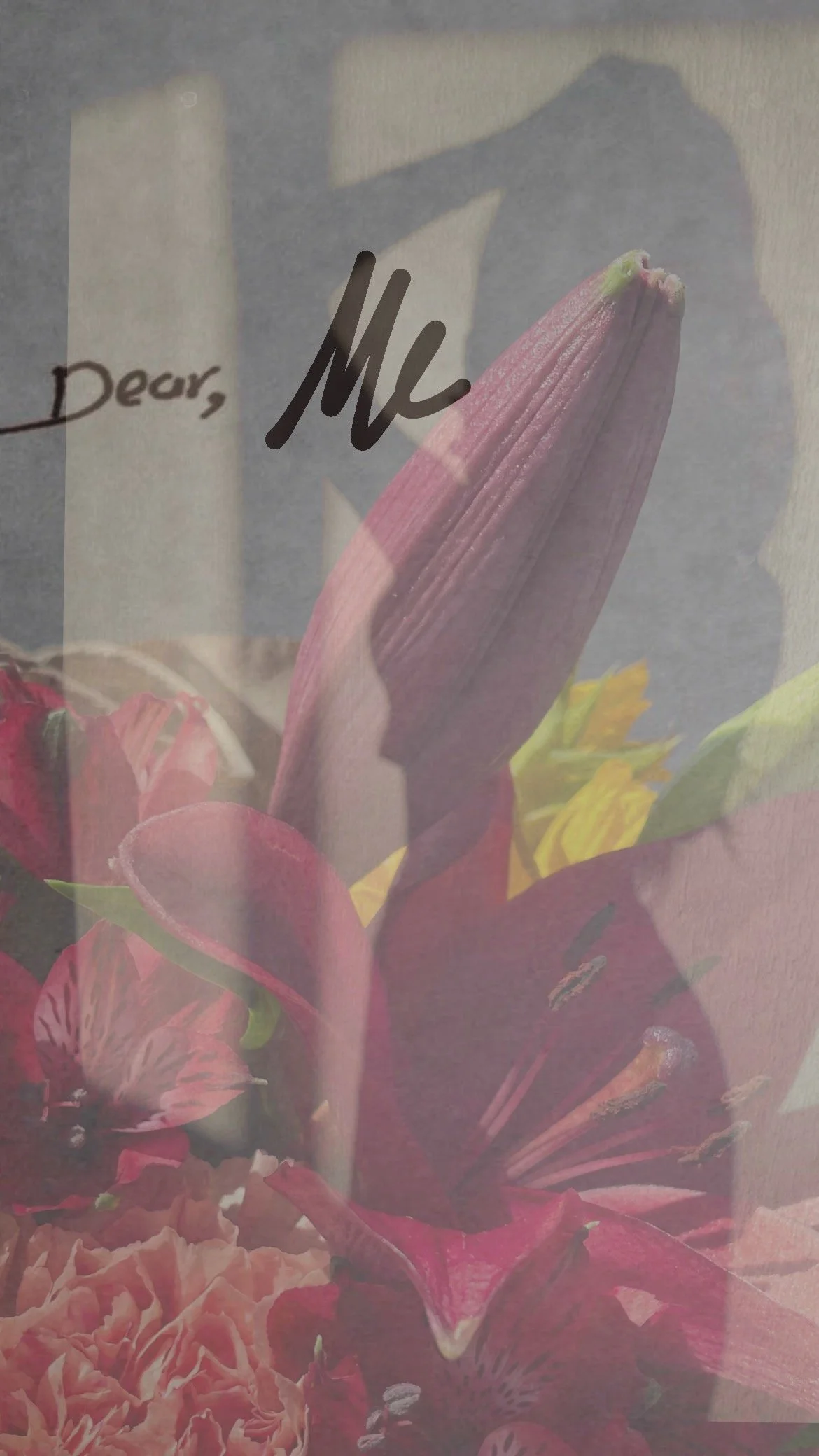 A Love Letter to Taylor Swift