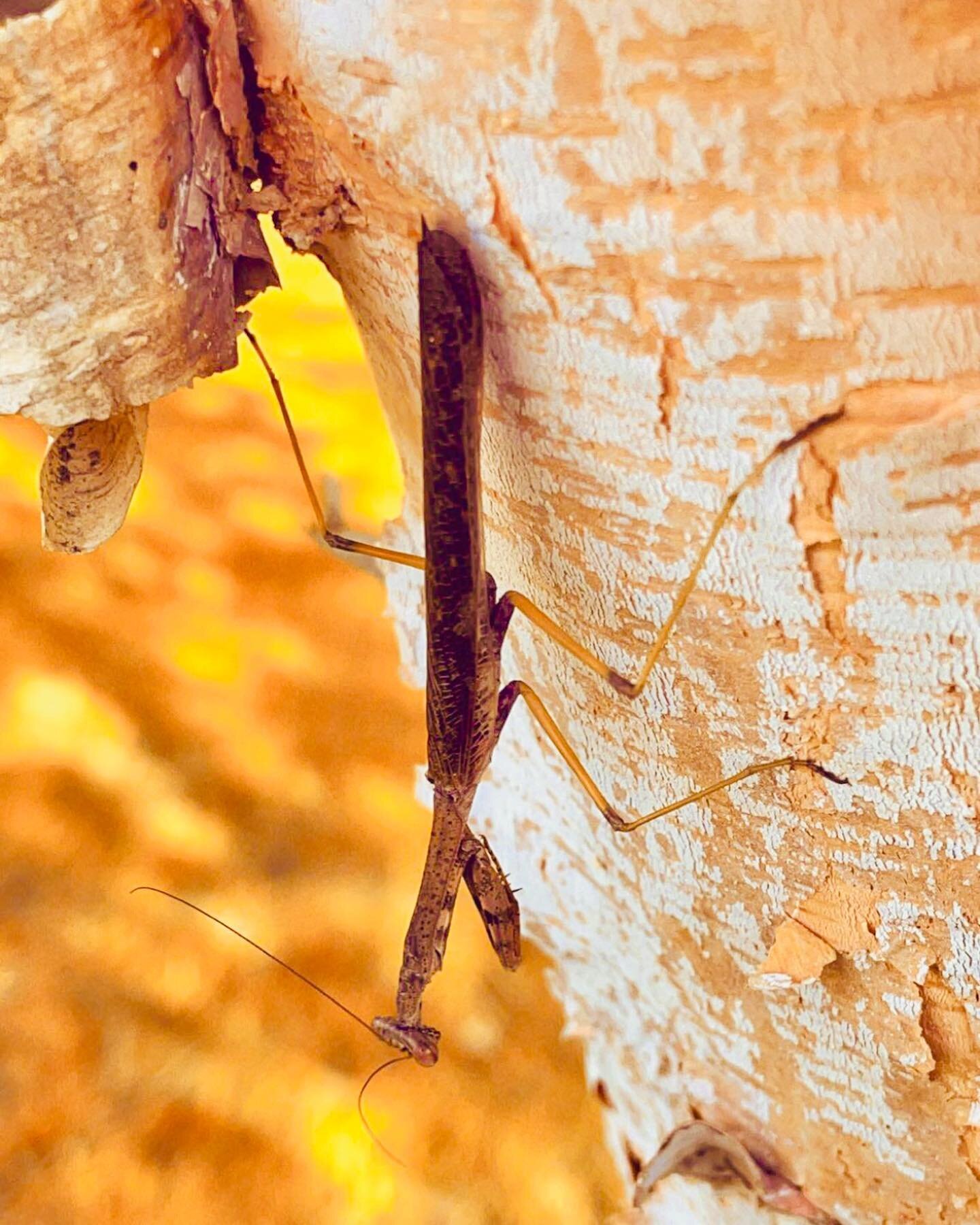 Every week our photo team participates in a media challenge. This week&rsquo;s theme was &ldquo;yellow.&rdquo;