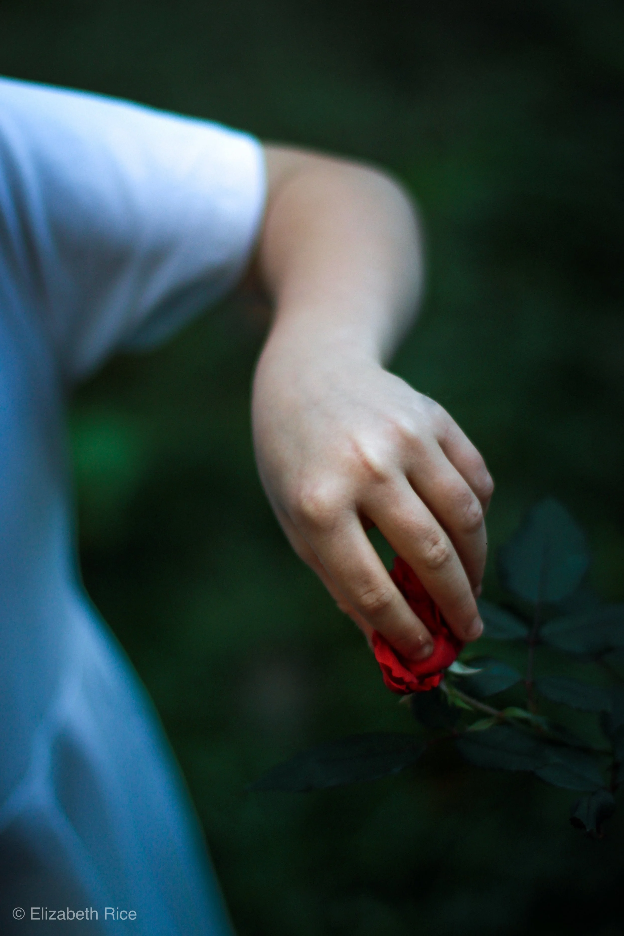 Be a Flower: A letter to the reader 