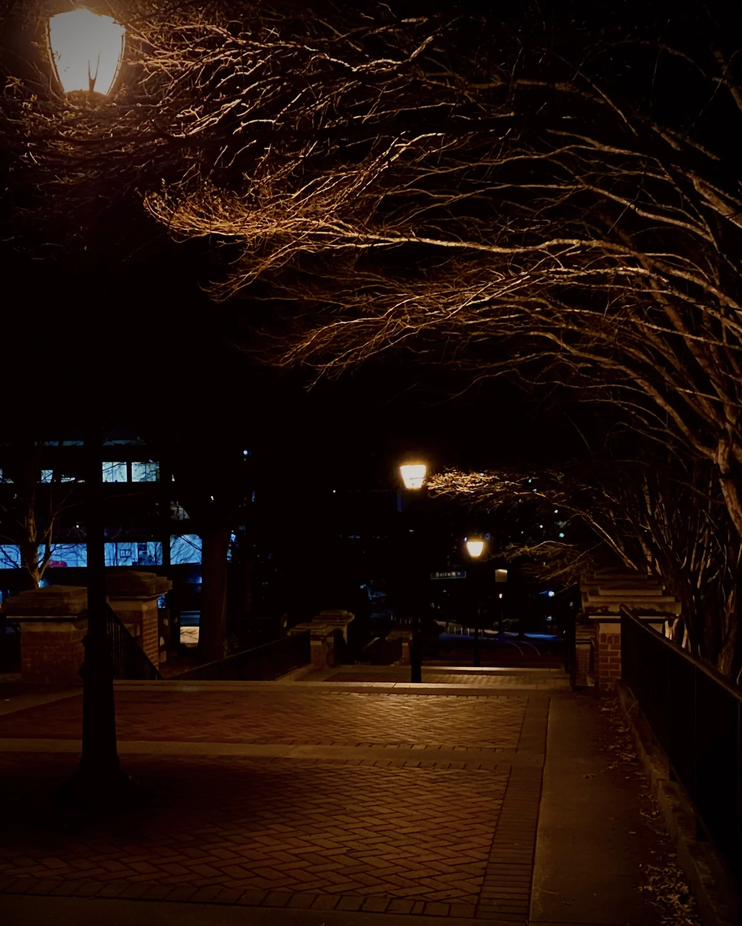 Yellow Lit Lovers and You