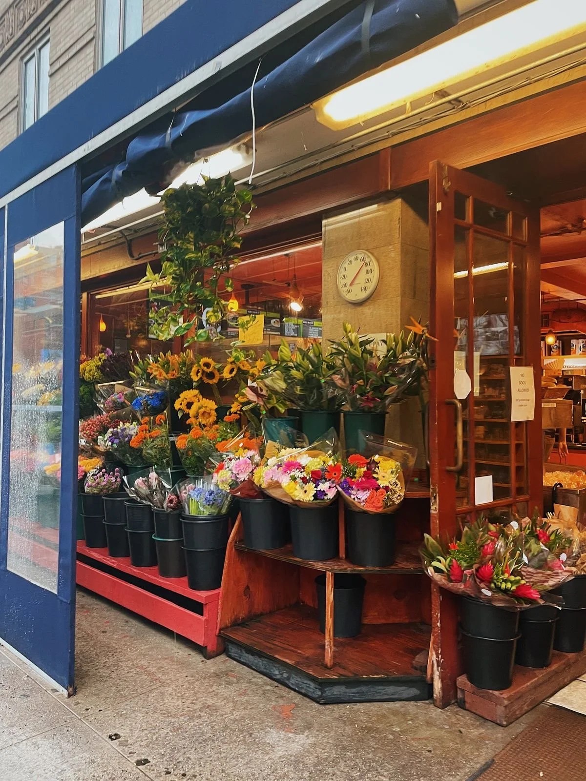 Reading Into Things, by an English Major 