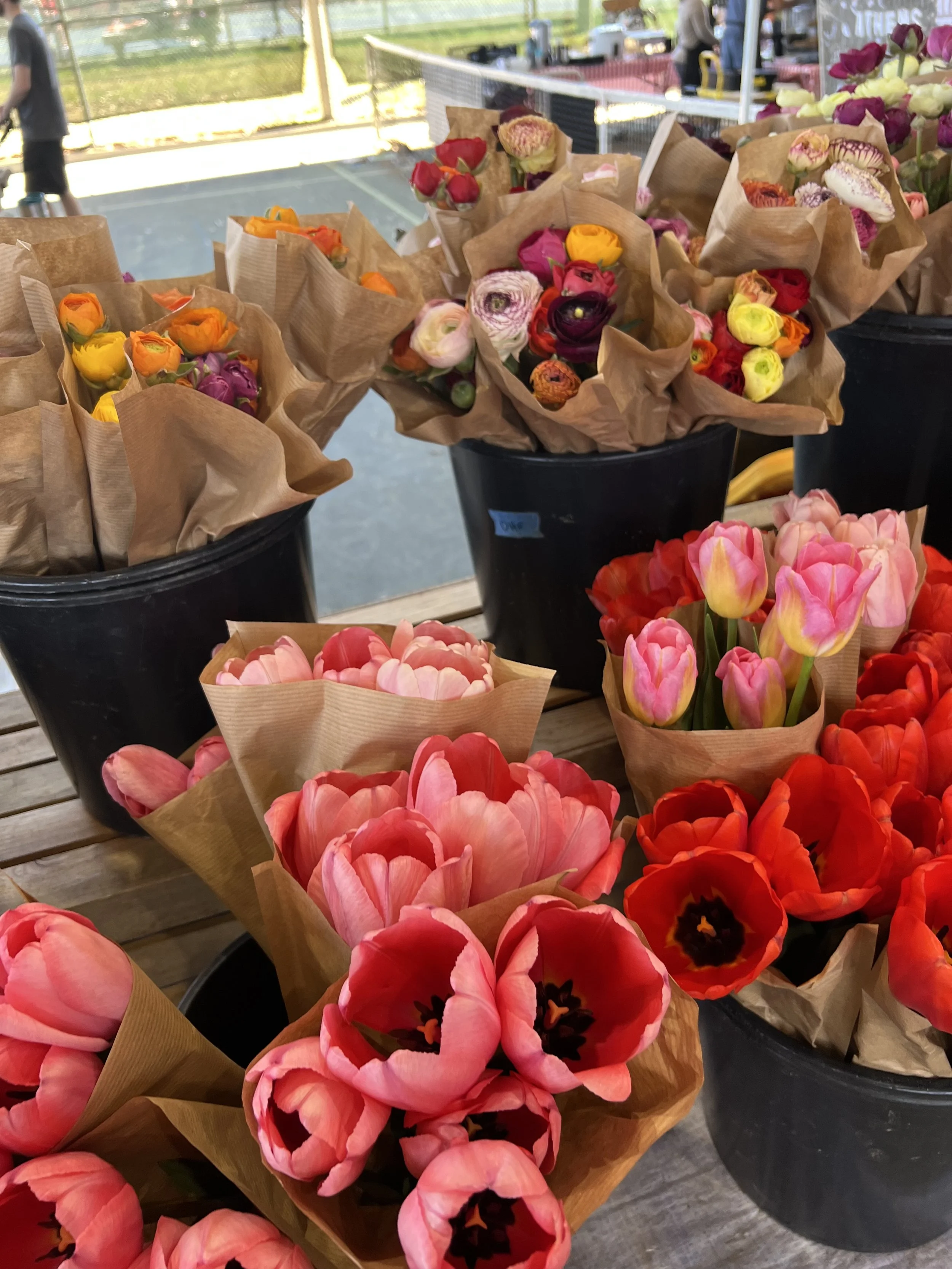 MEDIA CHALLENGE: bloom