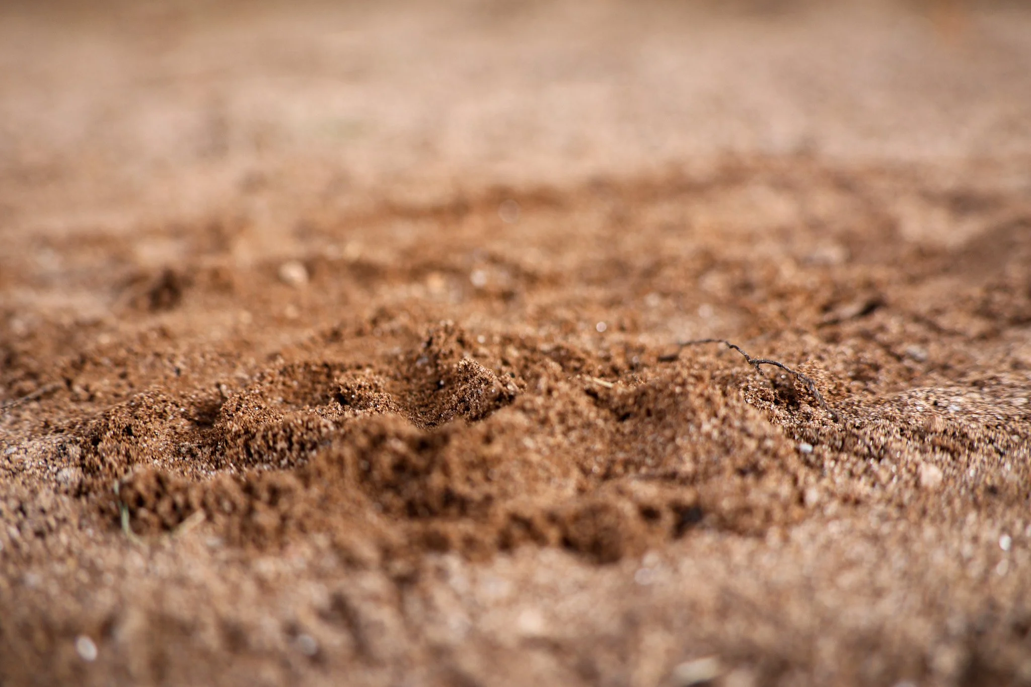 High Noon in June, Clock Hands Rusted Still 
