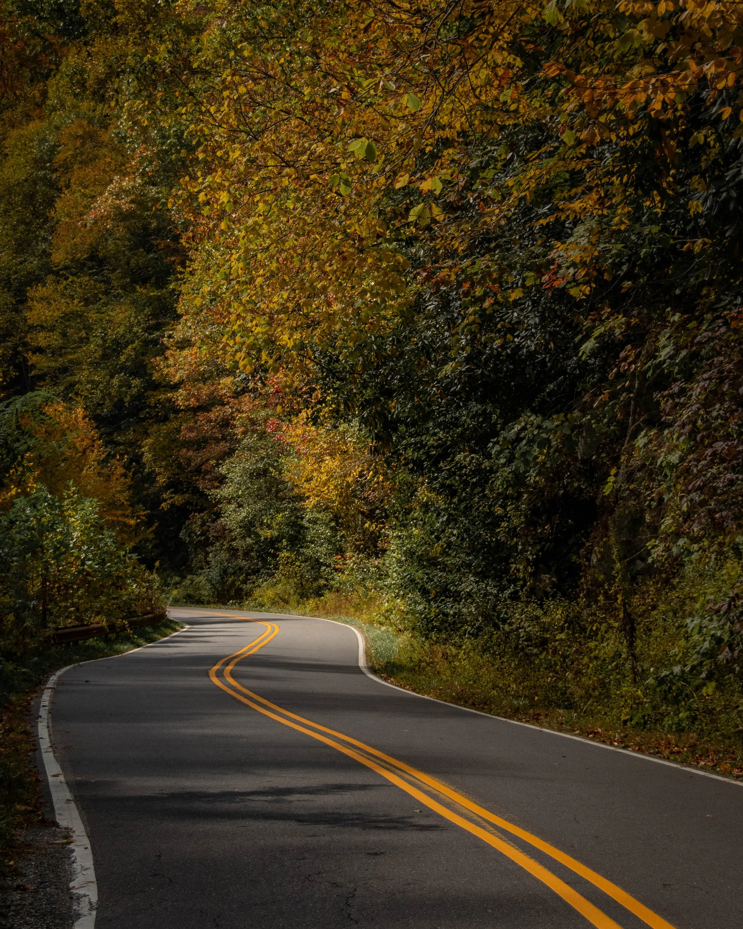 MEDIA CHALLENGE: Fall Weather 