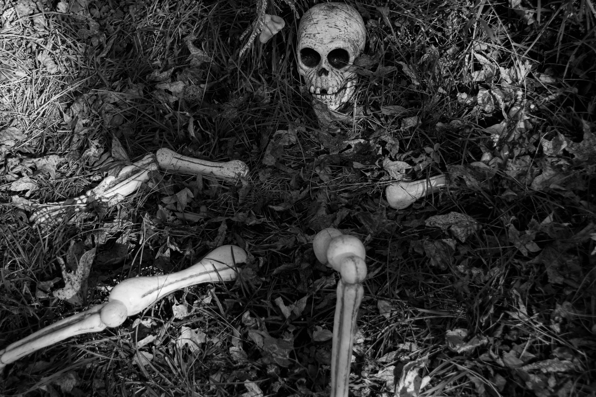 MEDIA CHALLENGE: Halloween 