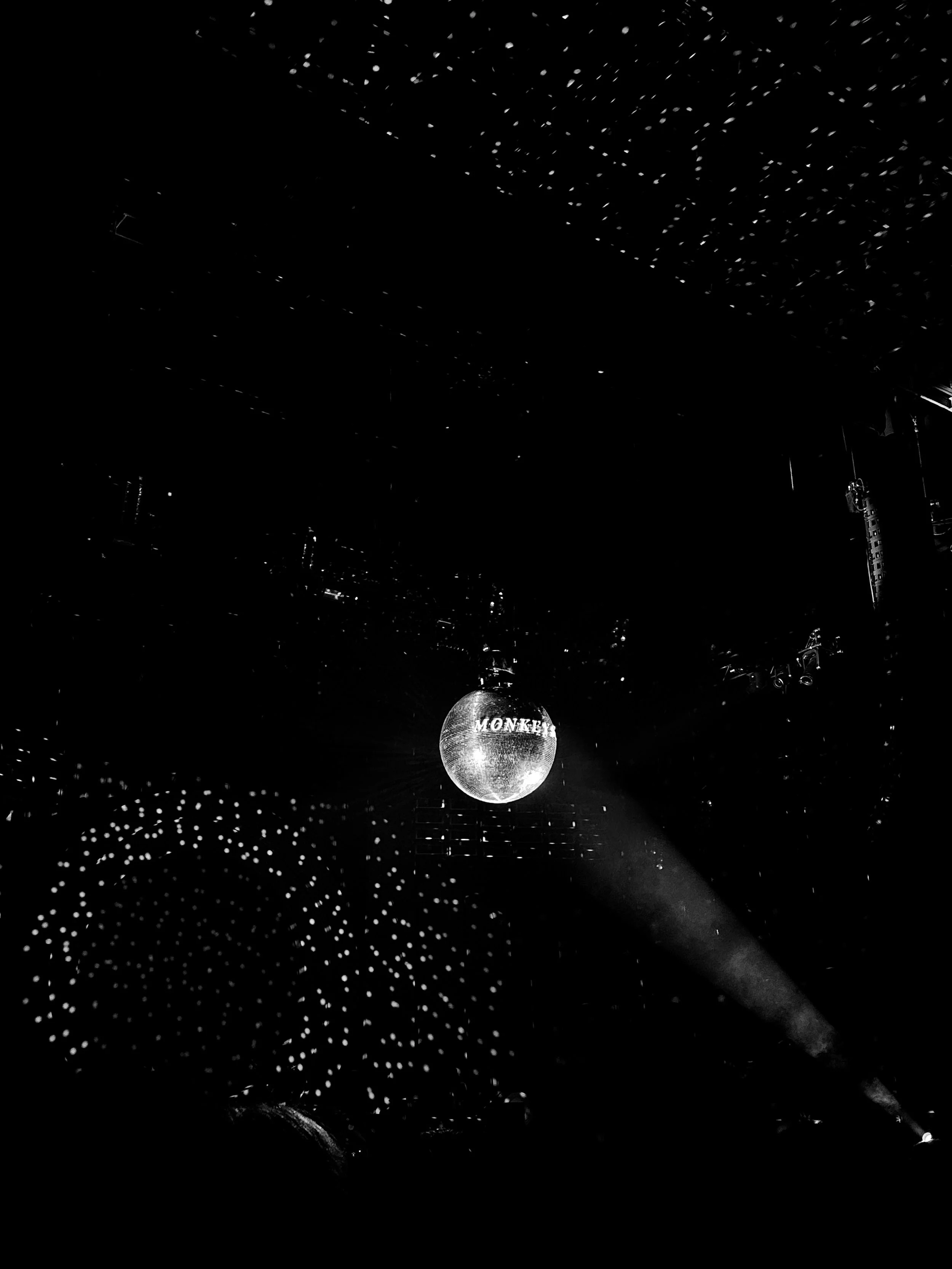 myself in the mirrorball 