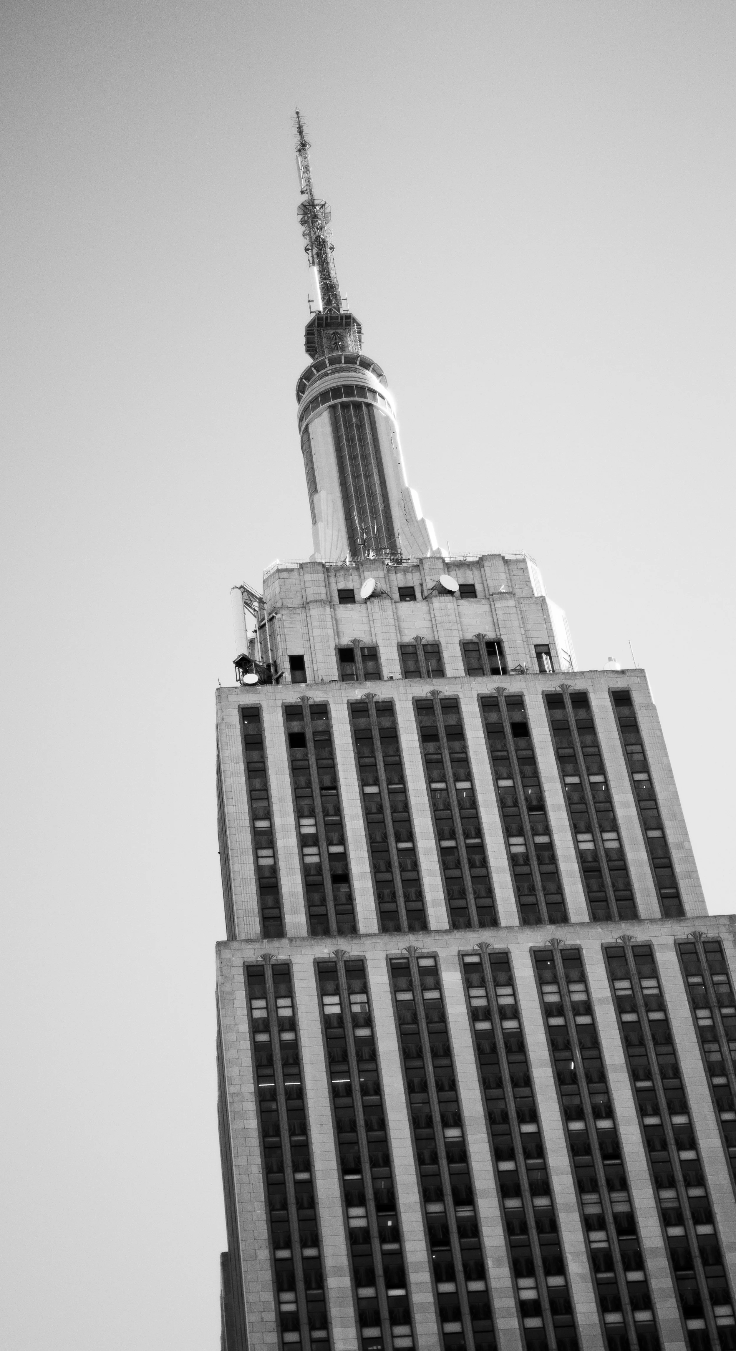 FLIPPED ISSUE Fall 2023: Jayla 