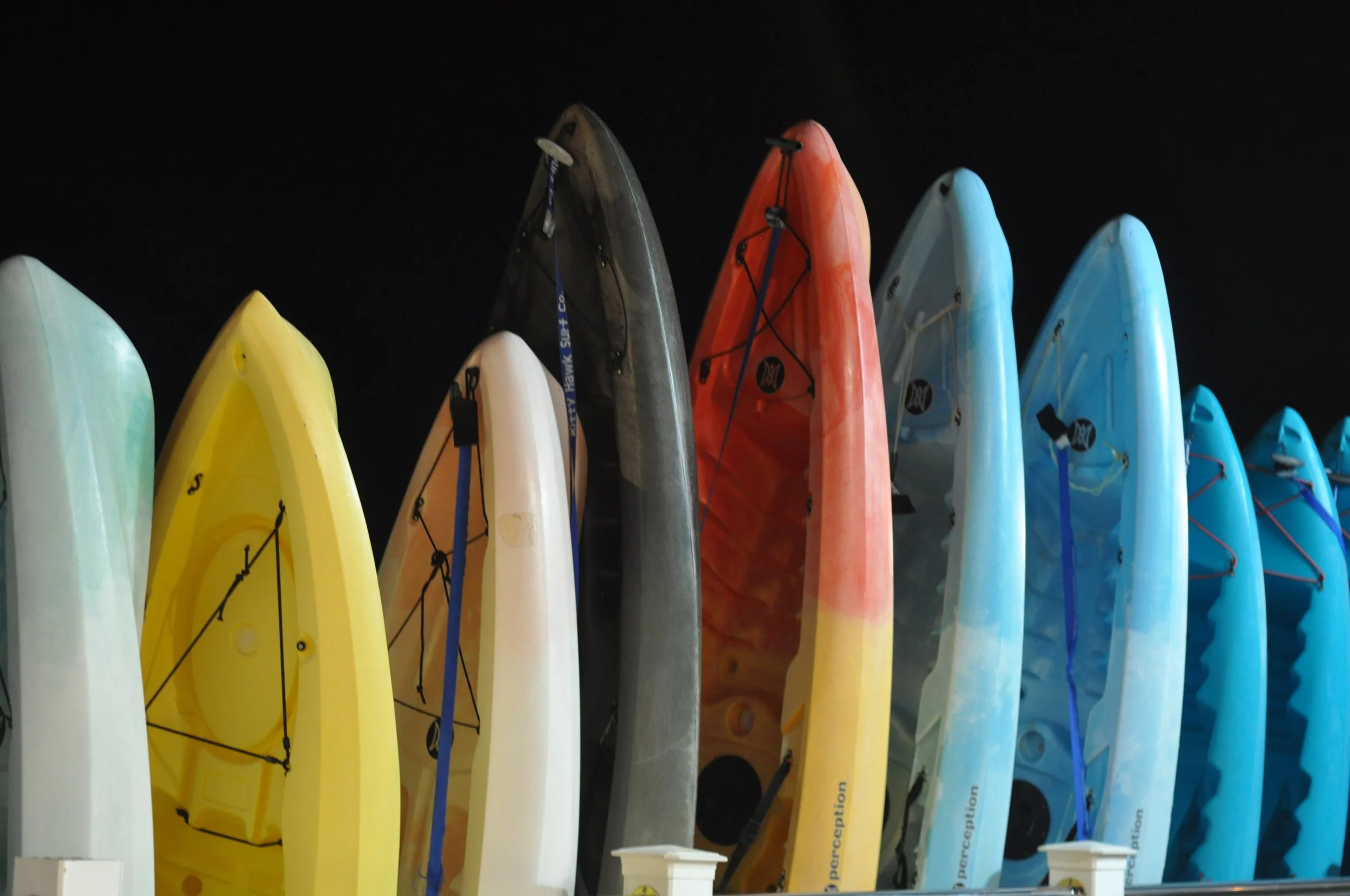 FLIPPED ISSUE Fall 2023: Anya 