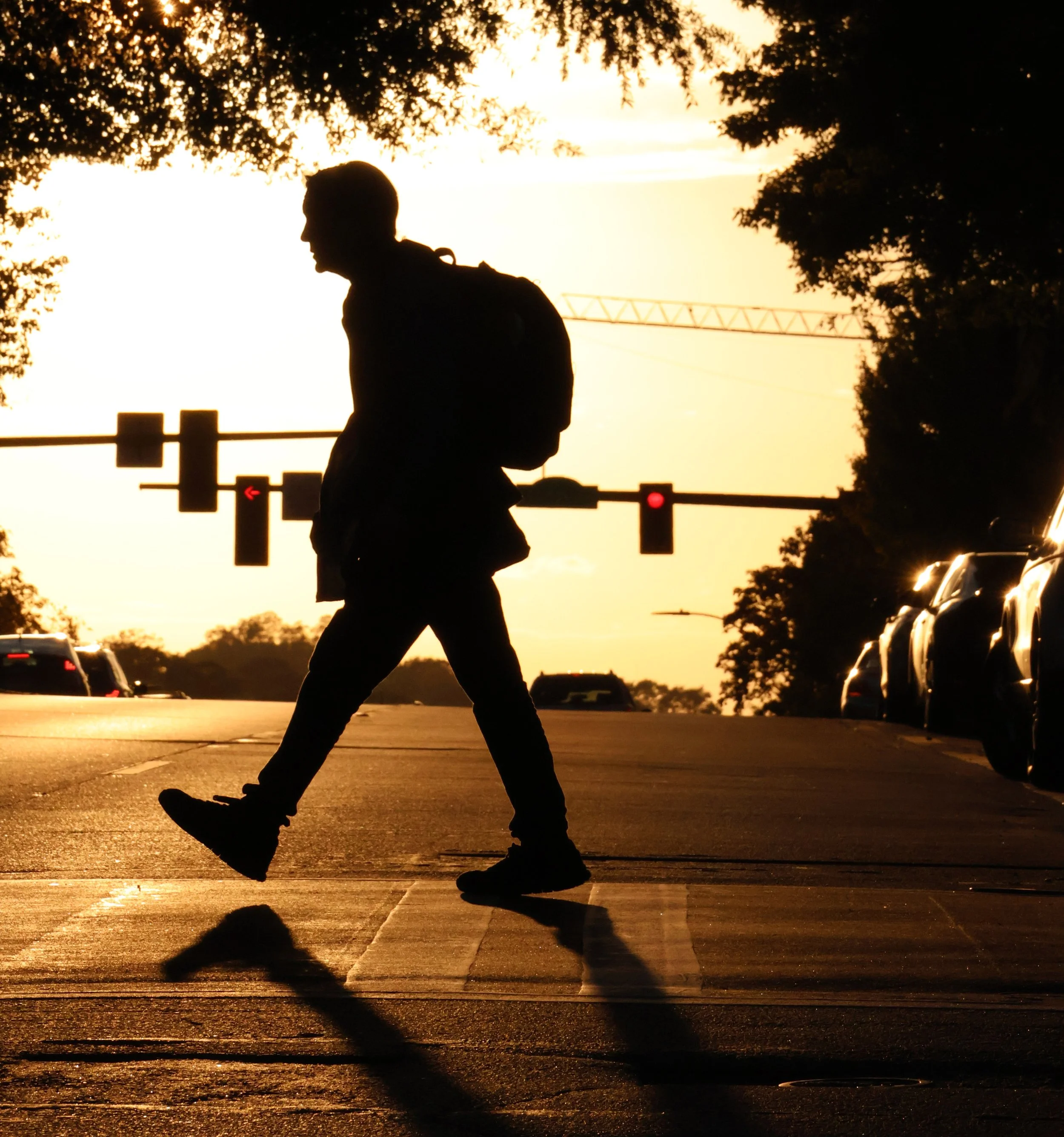 FLIPPED ISSUE Fall 2023: Navya