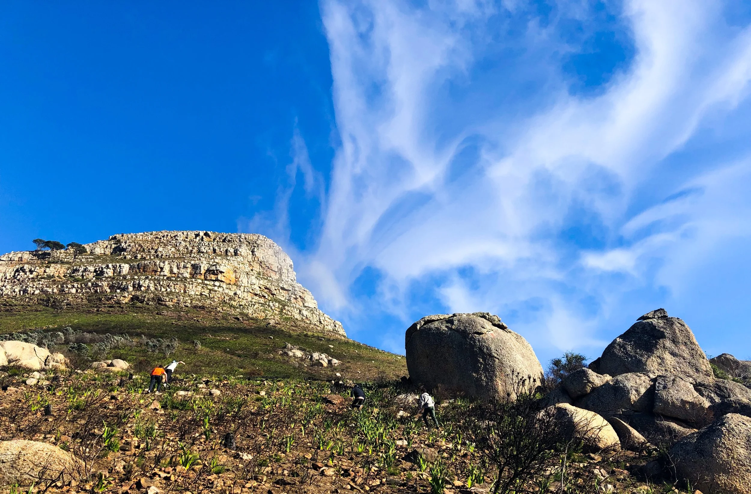 Crown of Sunlight, Sky so Blue 