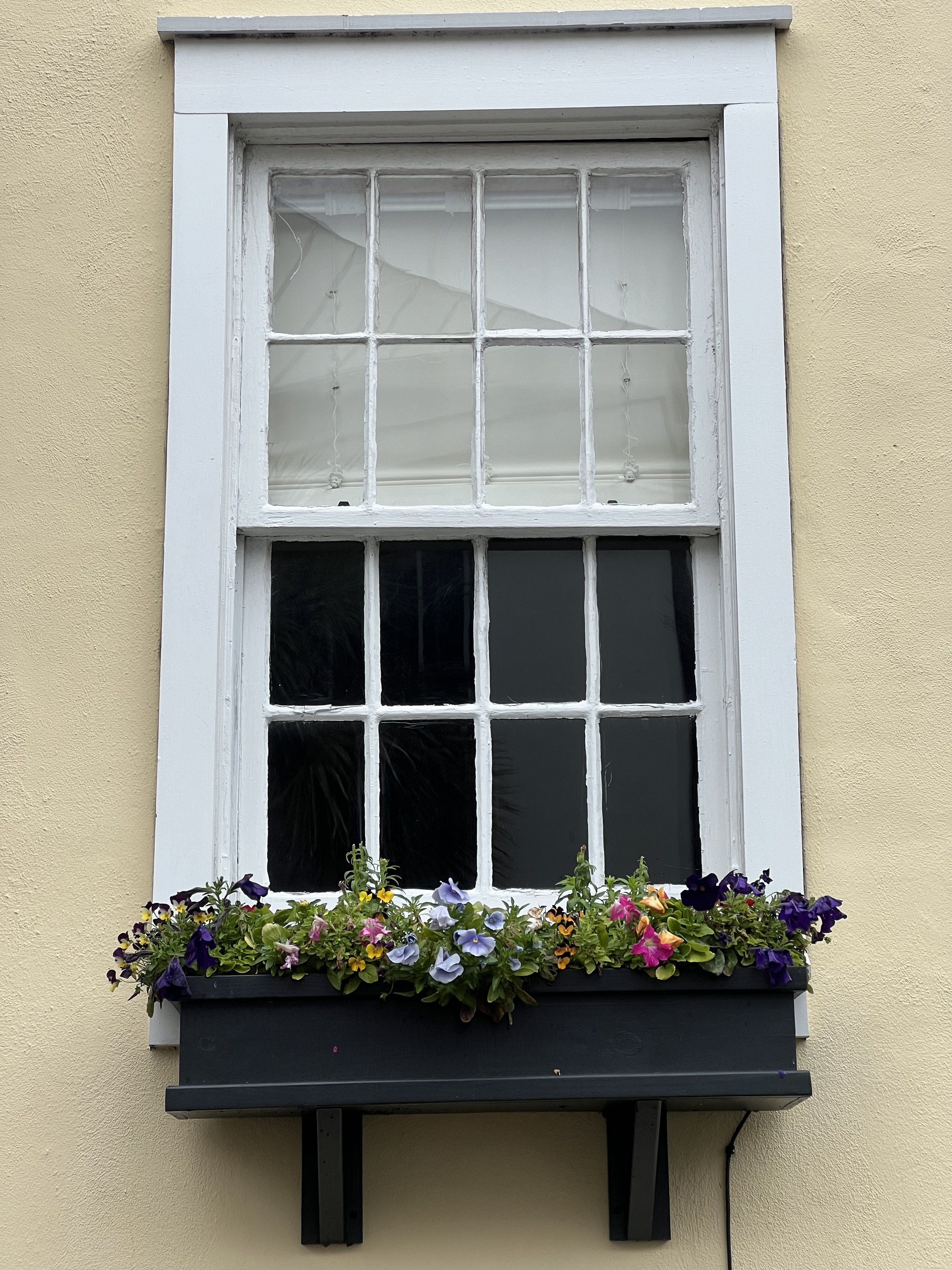 An Unfurling 
