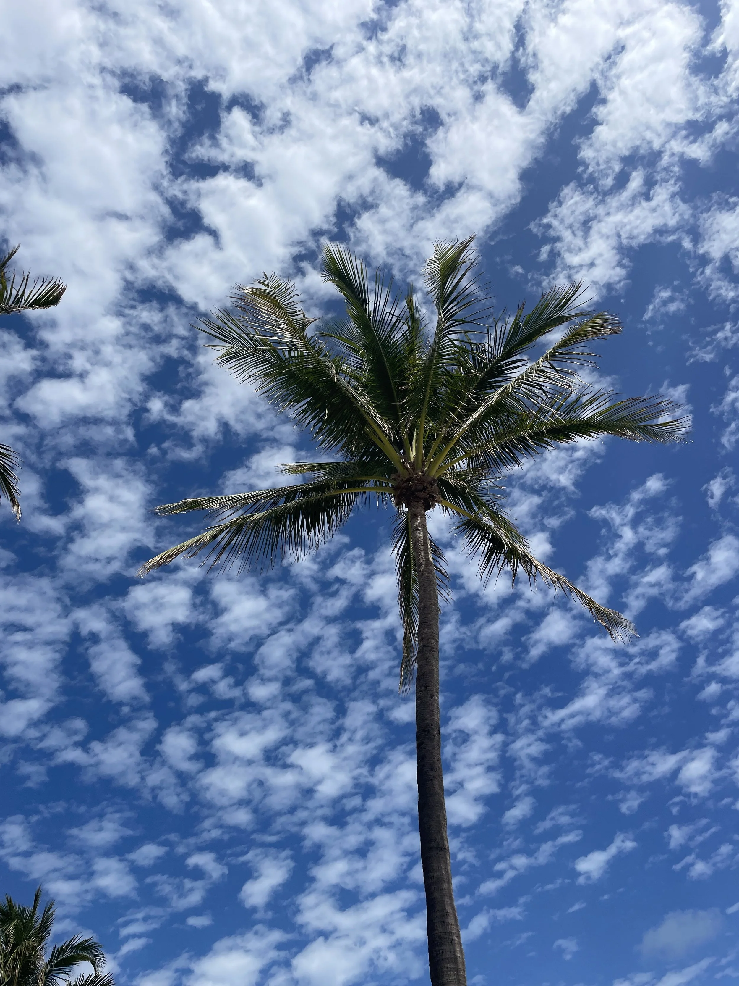 When the world matches how I feel