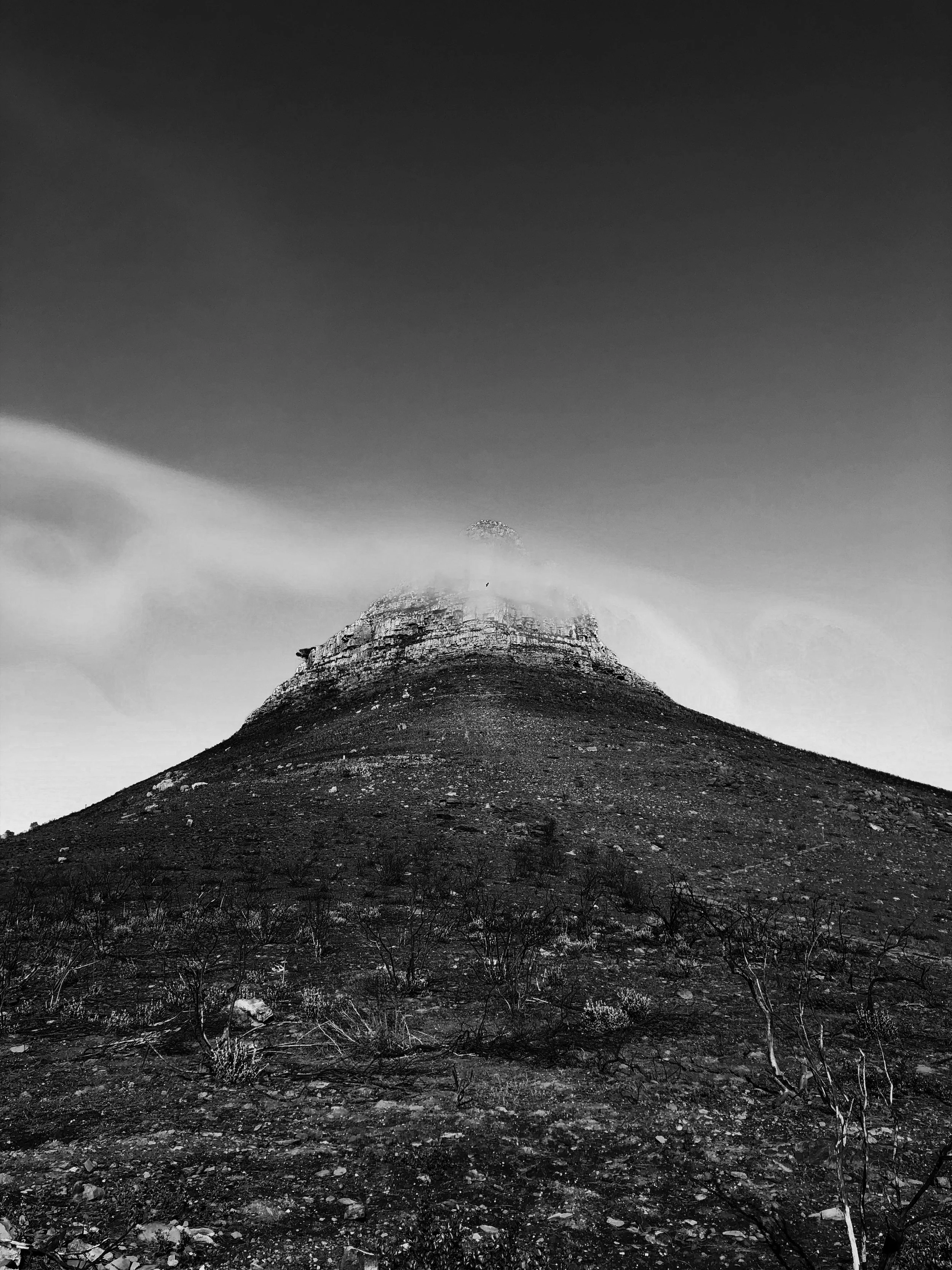 The Bottom of Things 