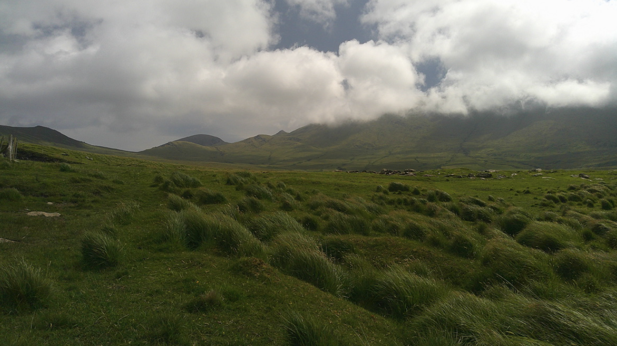 Lessons From the Wild: An Invitation Into the Self