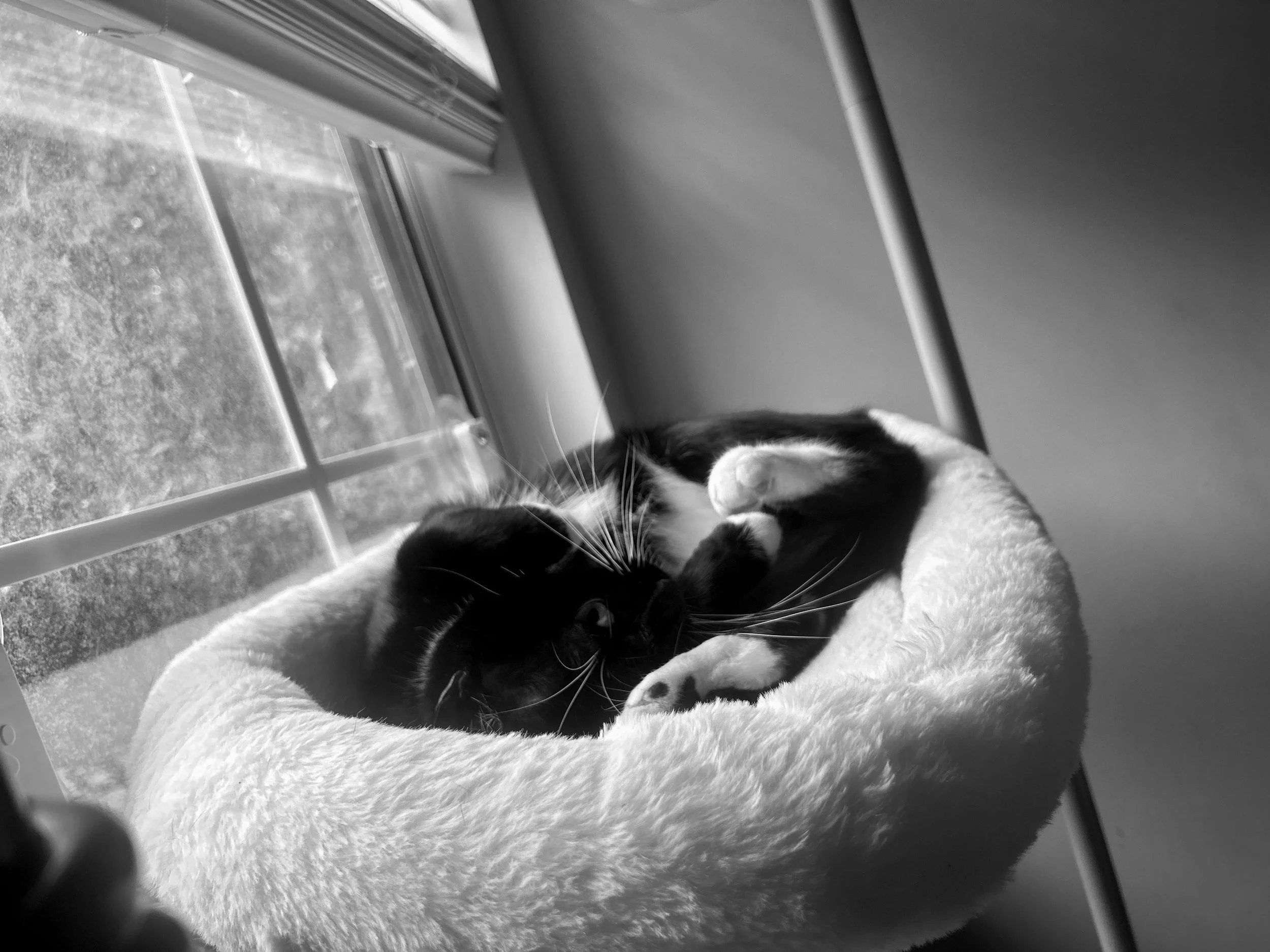 A Chat from My Little Window