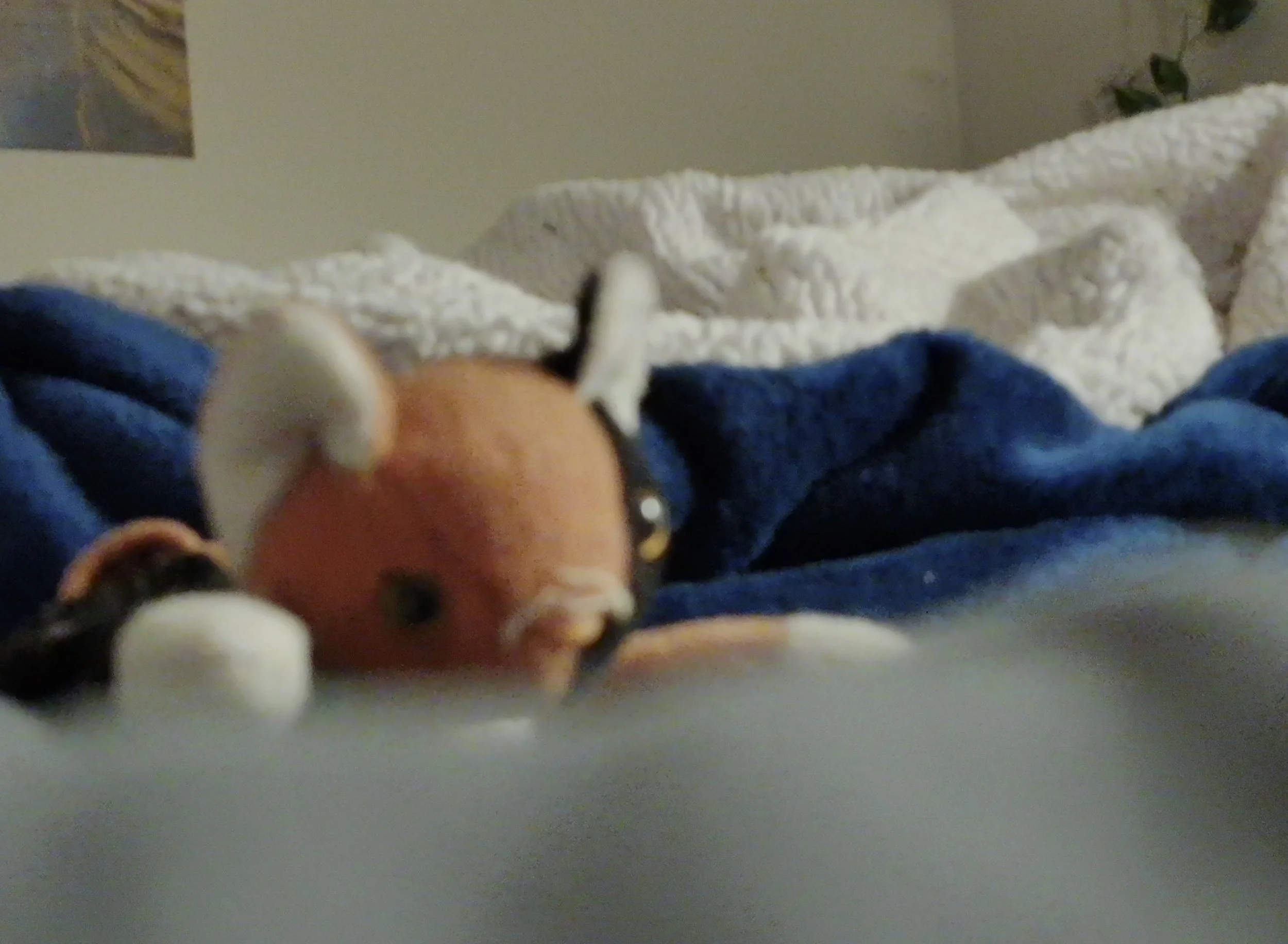 Let Me Have This One Small Thing