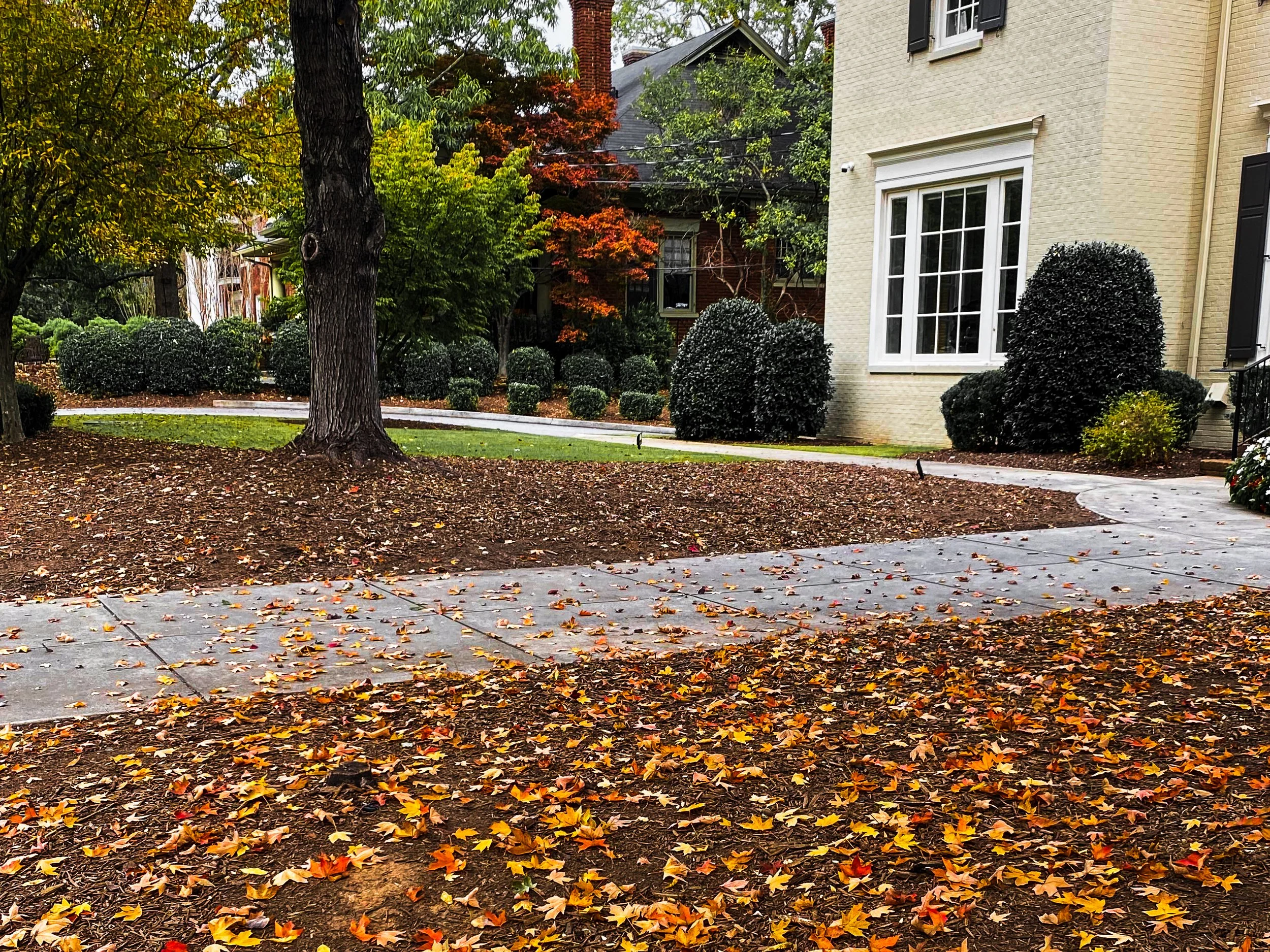 I just wanted Fall today