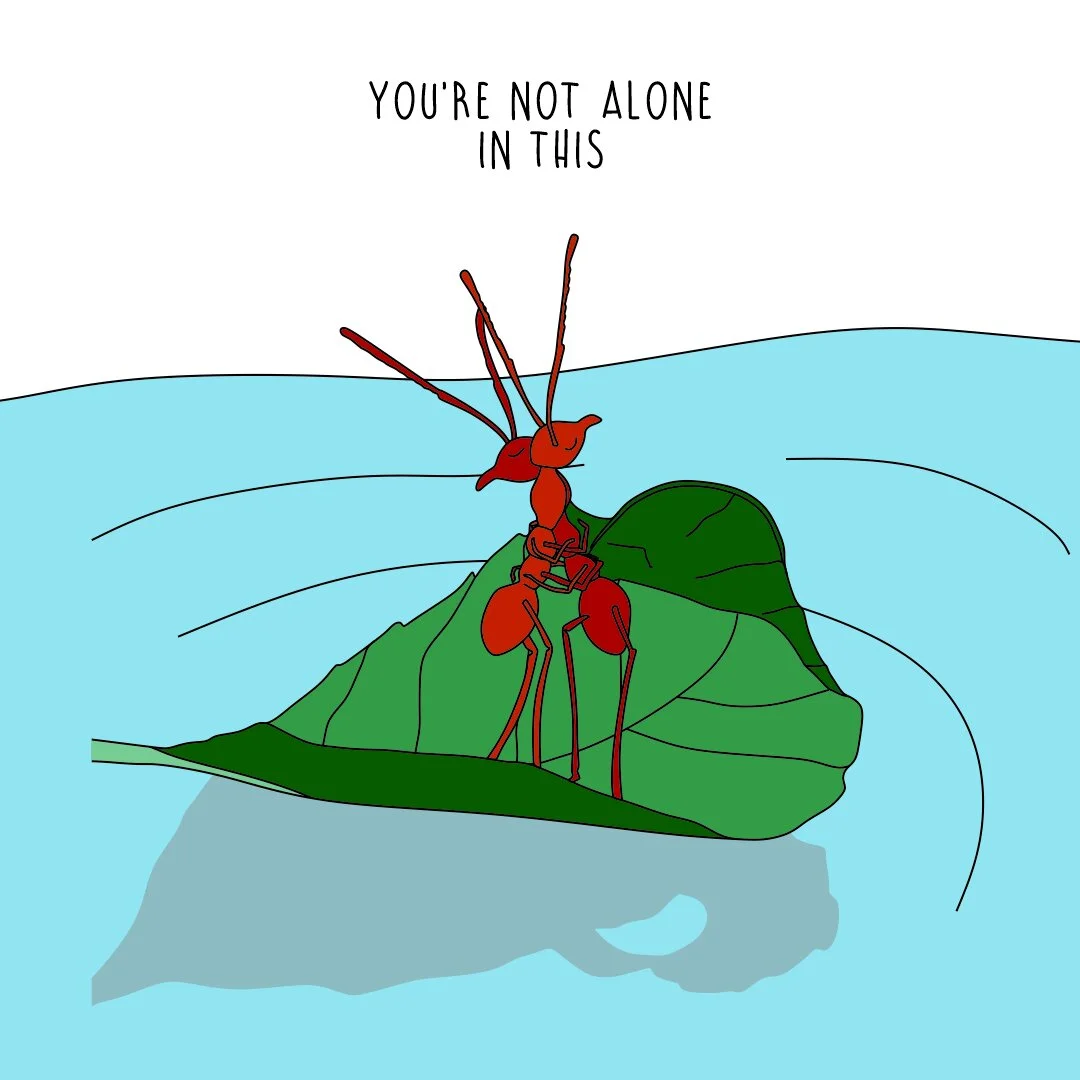 Youre not alone in this - square.jpg