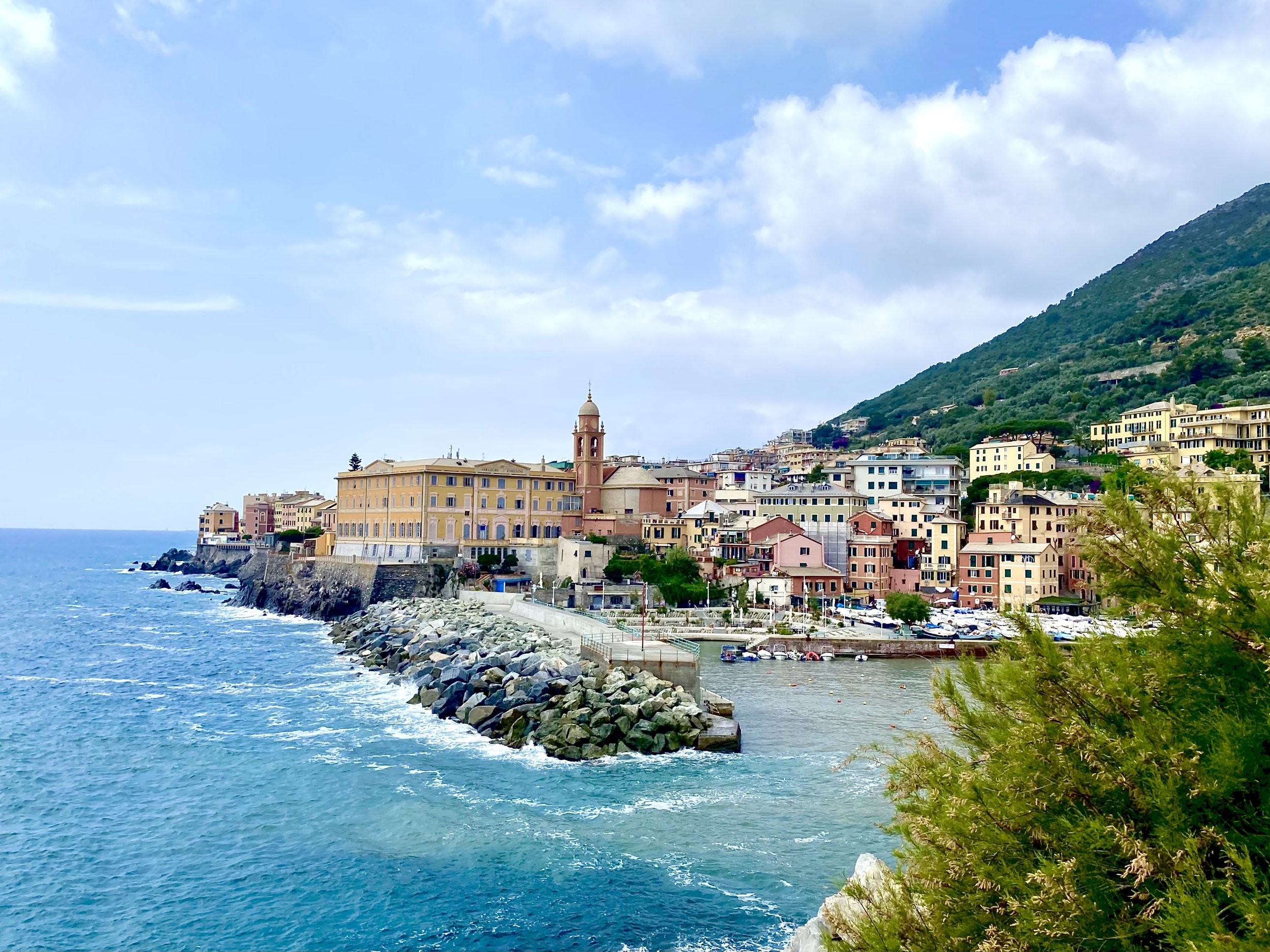 Genova is a Celebration of Olive Oil