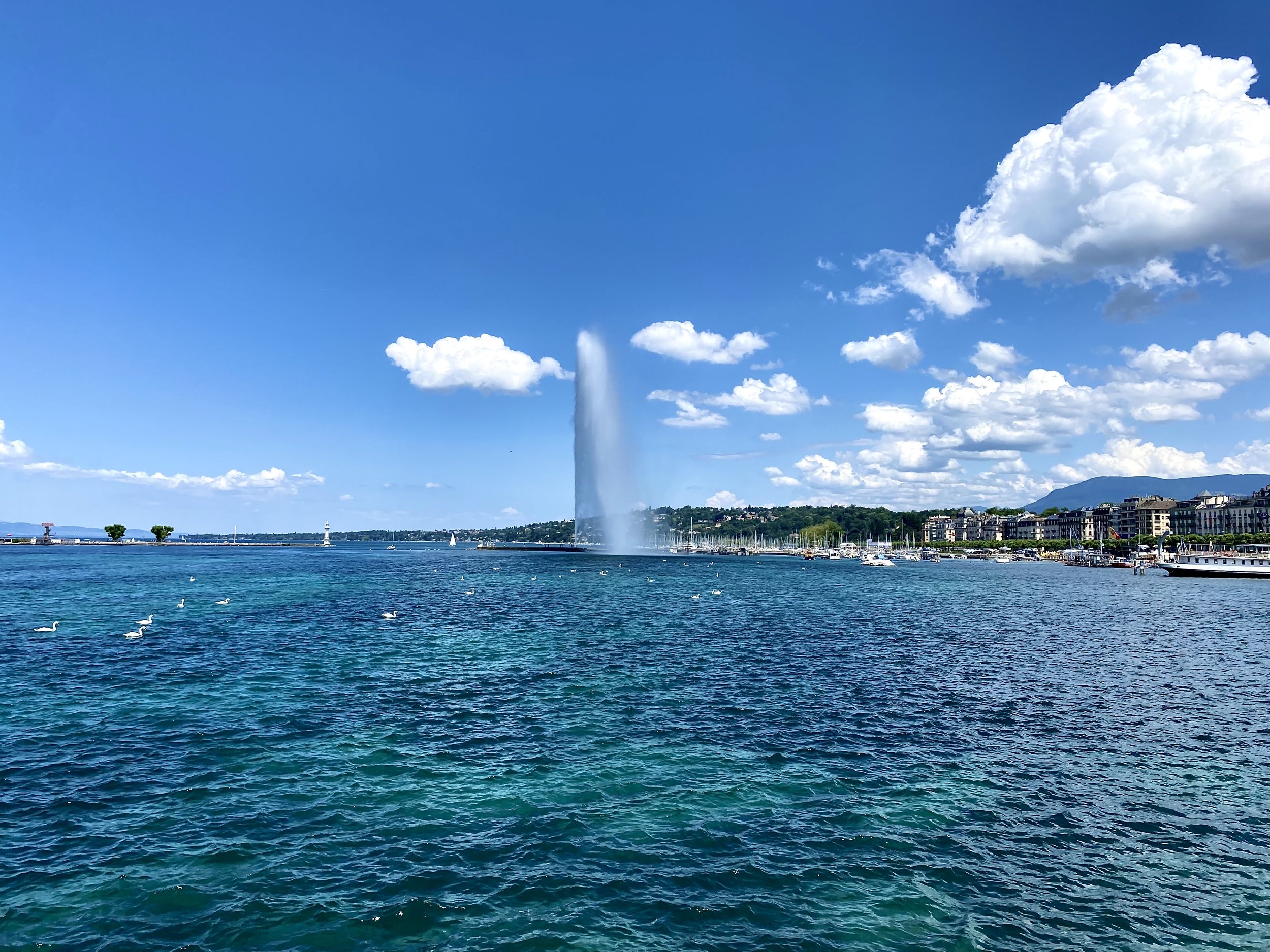 85CDC85D-C506-46CA-99AD-DEB6D51727D7.jpeg