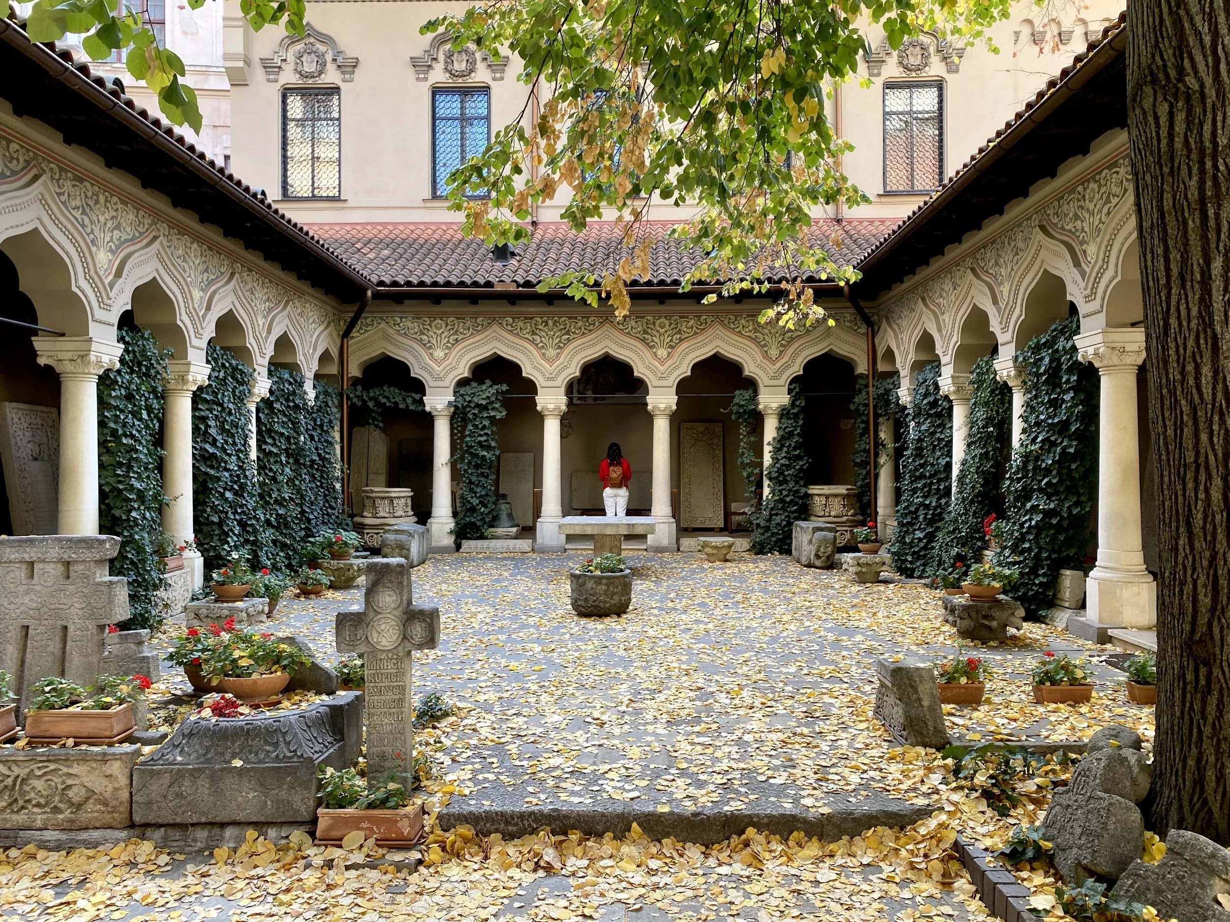 1C8FDB58-8B38-4B18-A307-10D268505B9B.jpeg