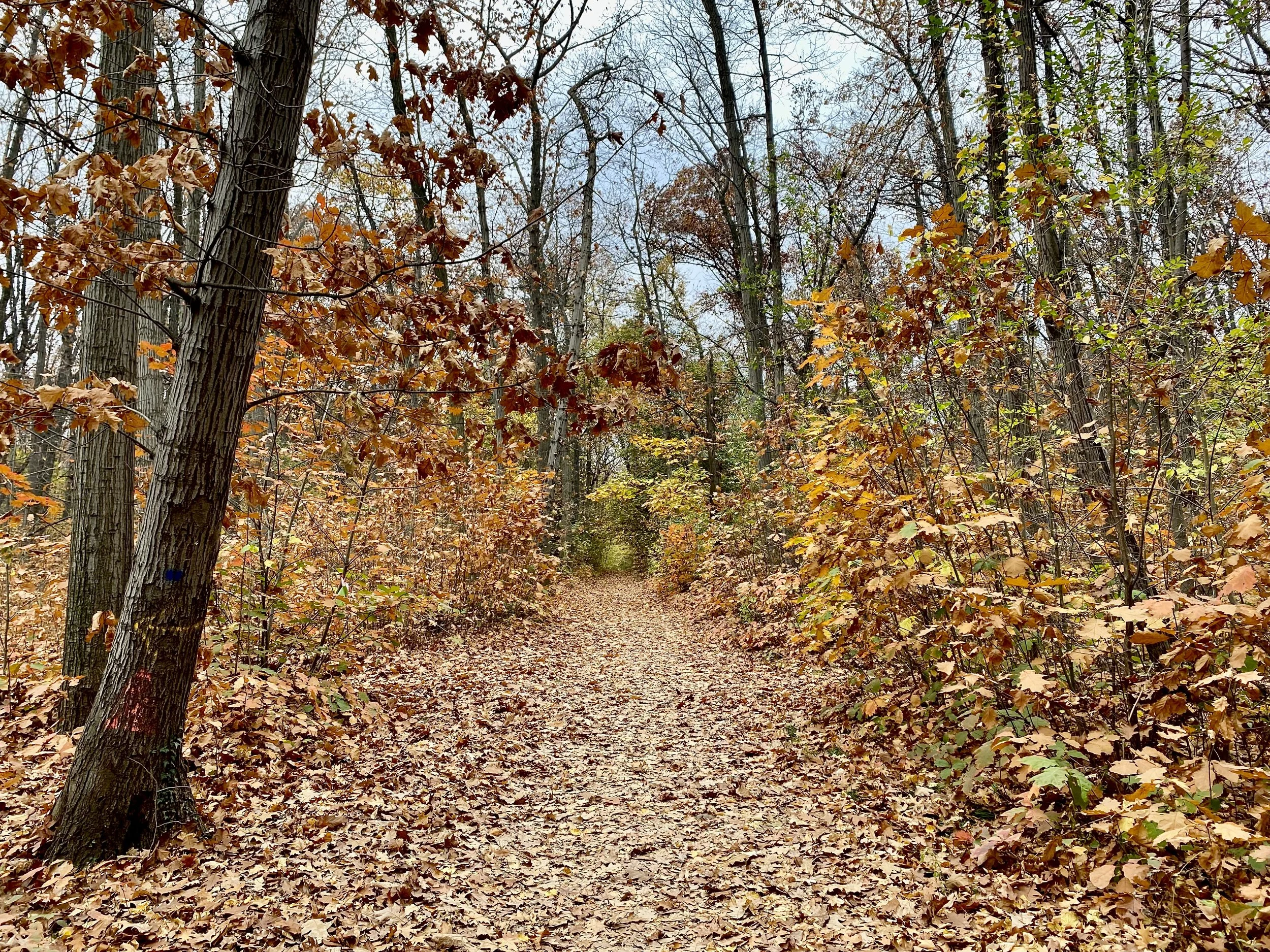 Take a Hike Within Sofia’s City Bounds