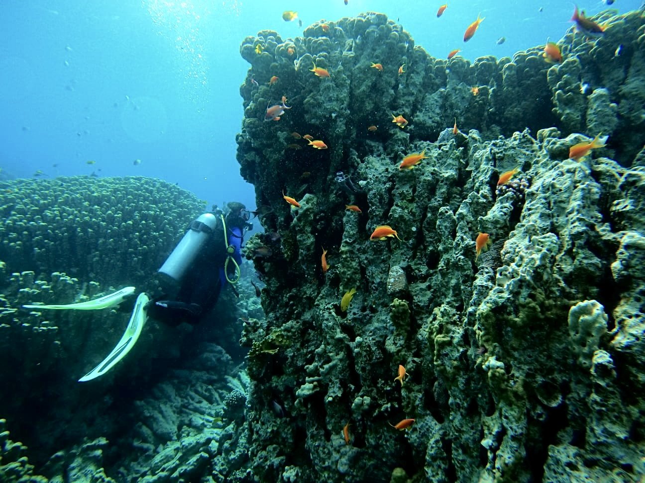 Go Diving in Aqaba