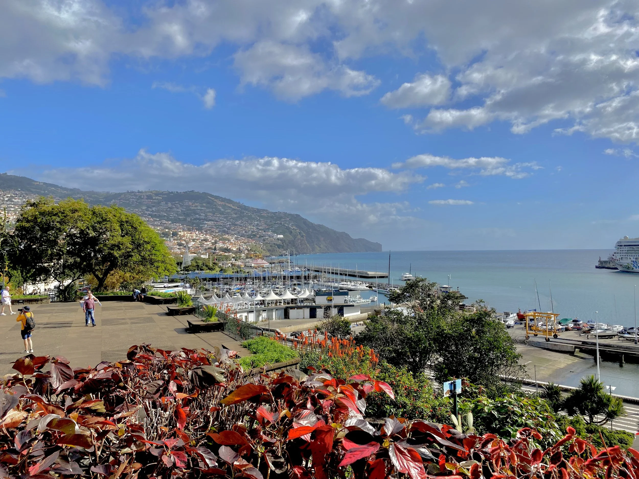Enjoy the Shit out of Funchal