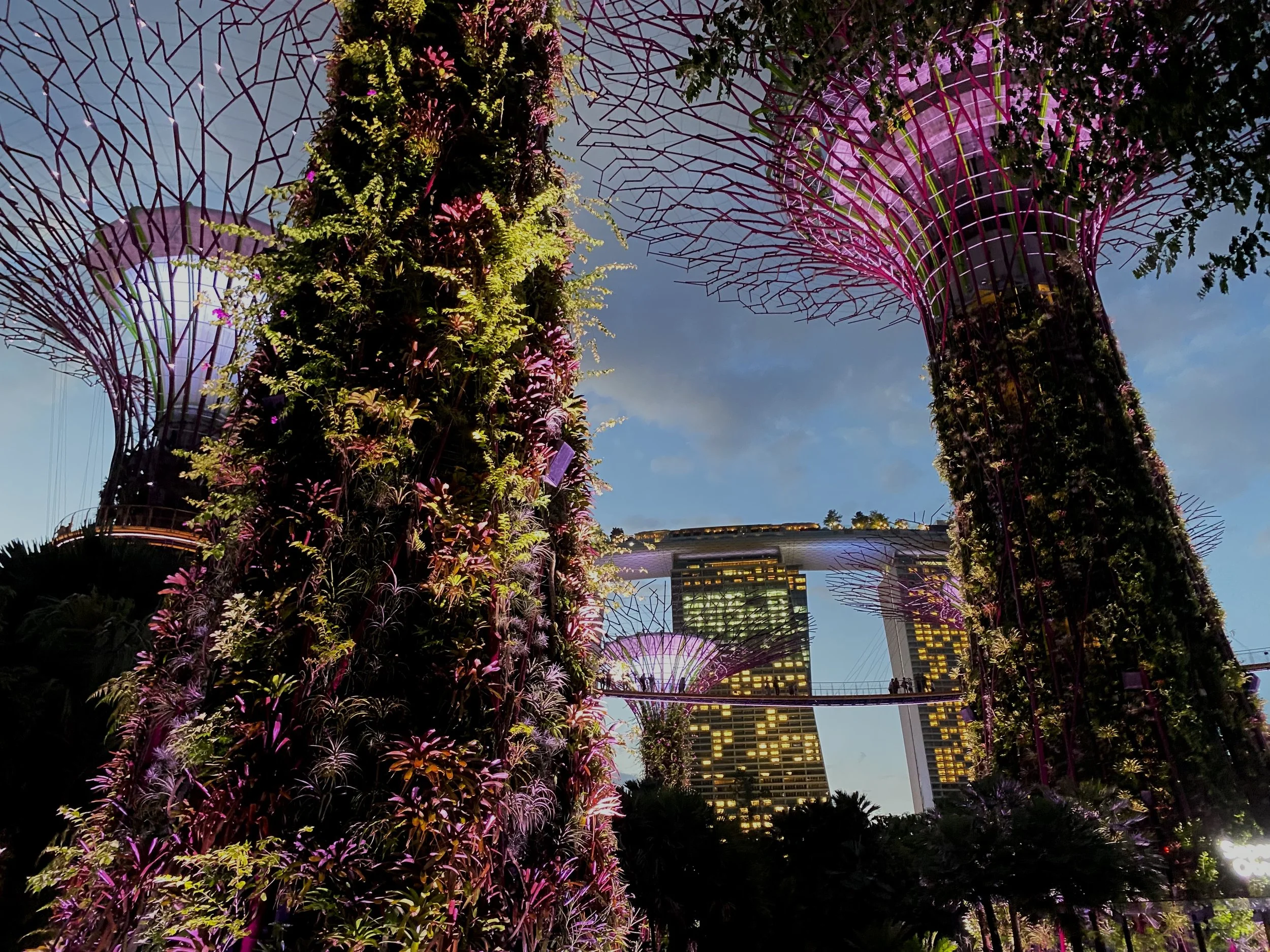 Prep For Envy in Singapore