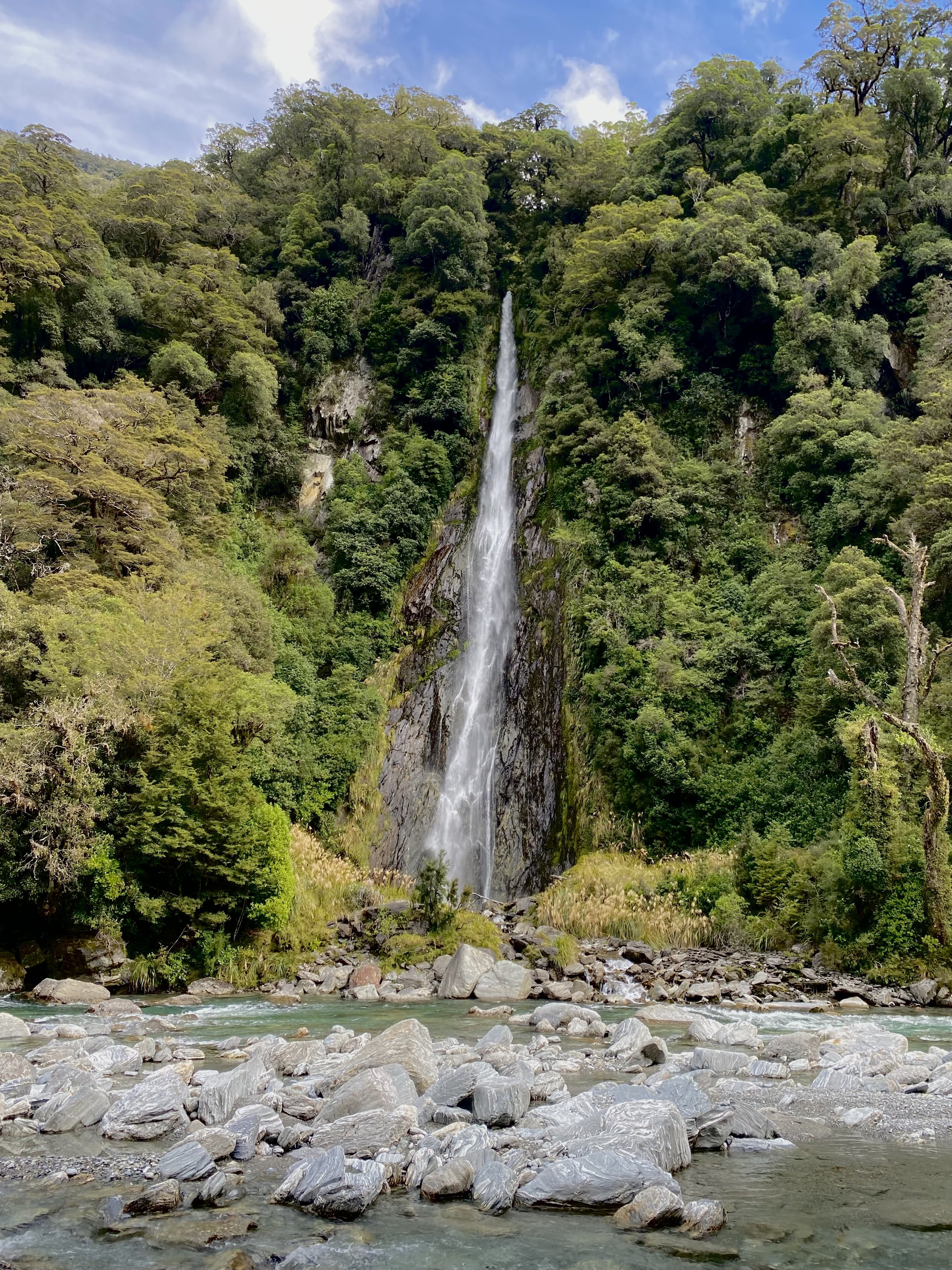 3B1CF750-E279-4051-B898-EA3F1B383C52.jpeg