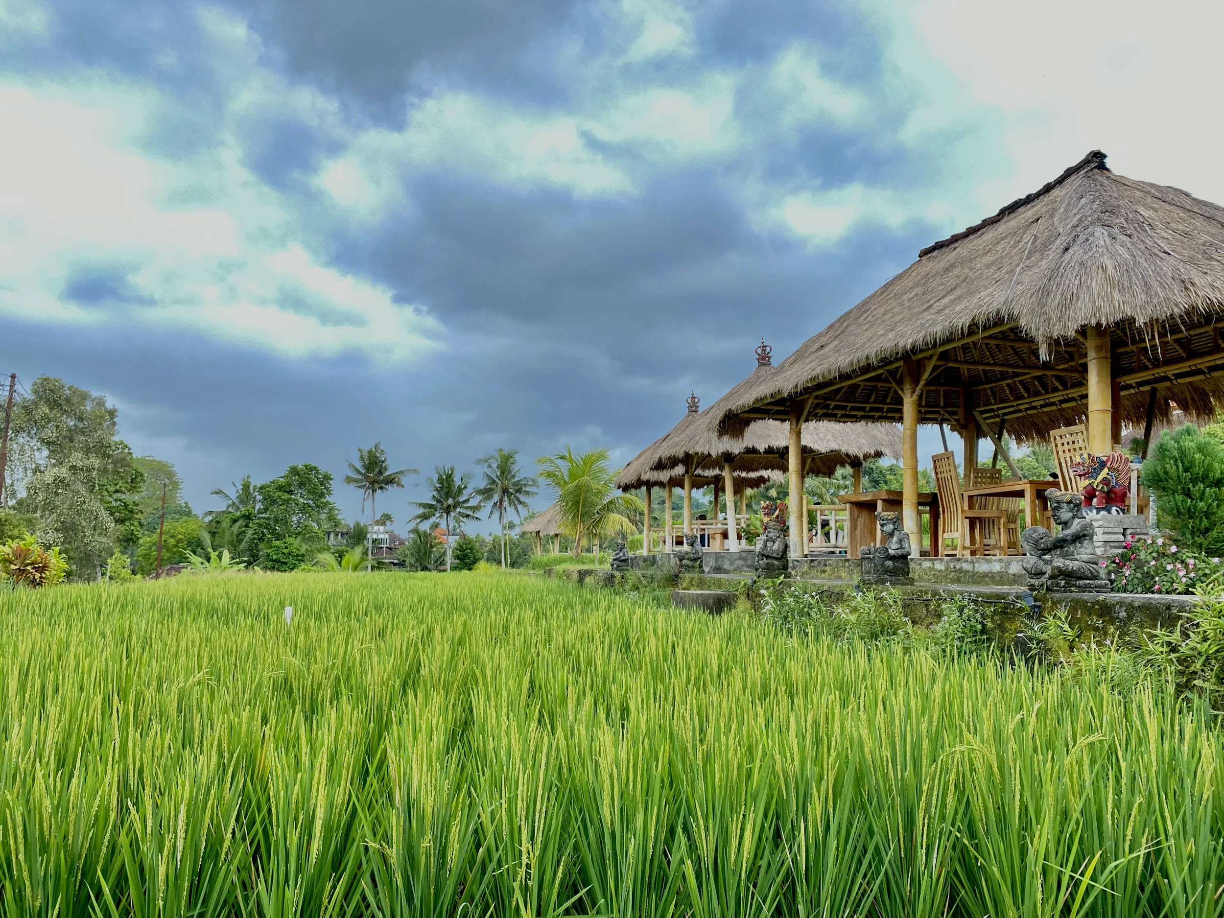 Ubud Offers Wellness Your Way