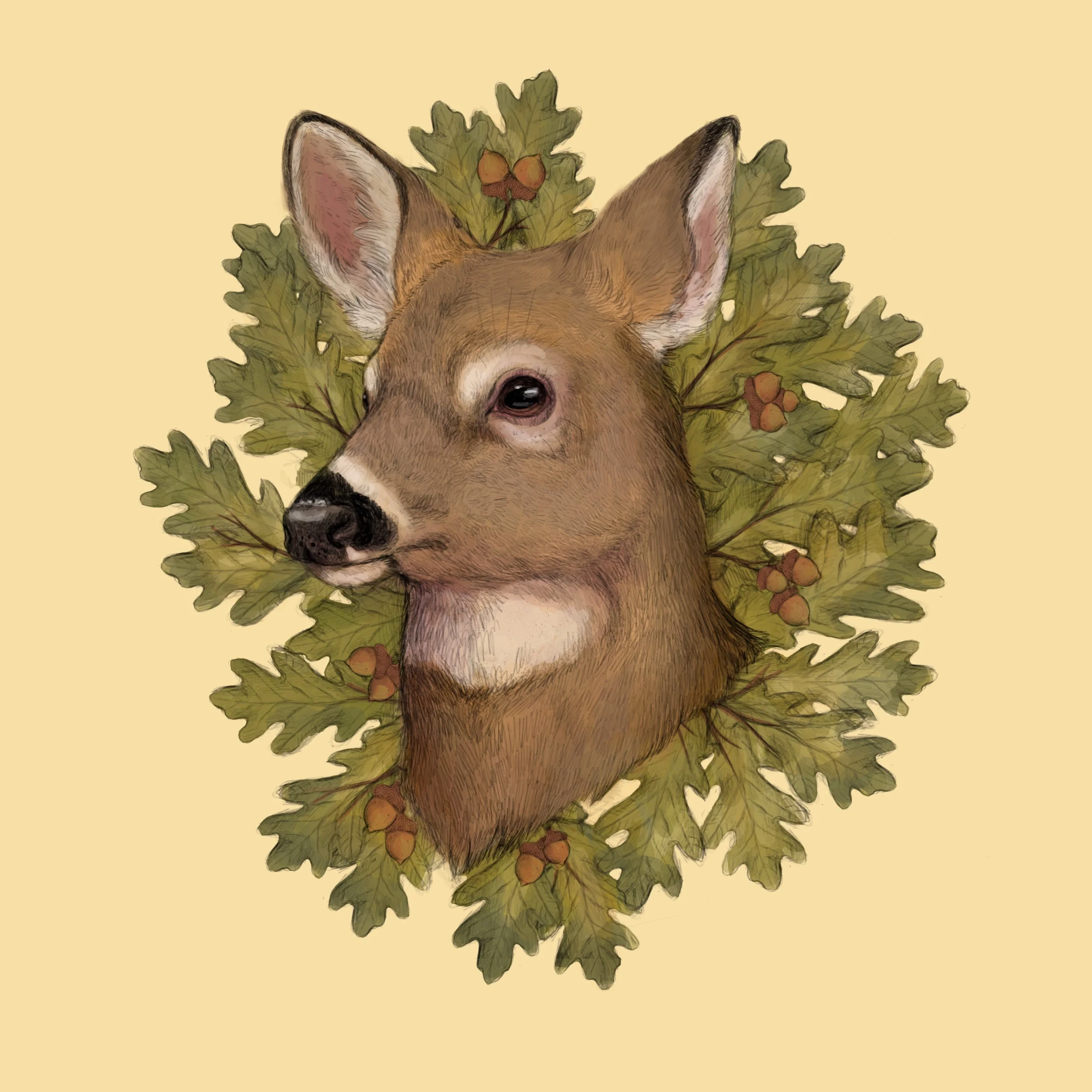 Photo Jan 25, 12 06 21 PM.jpg