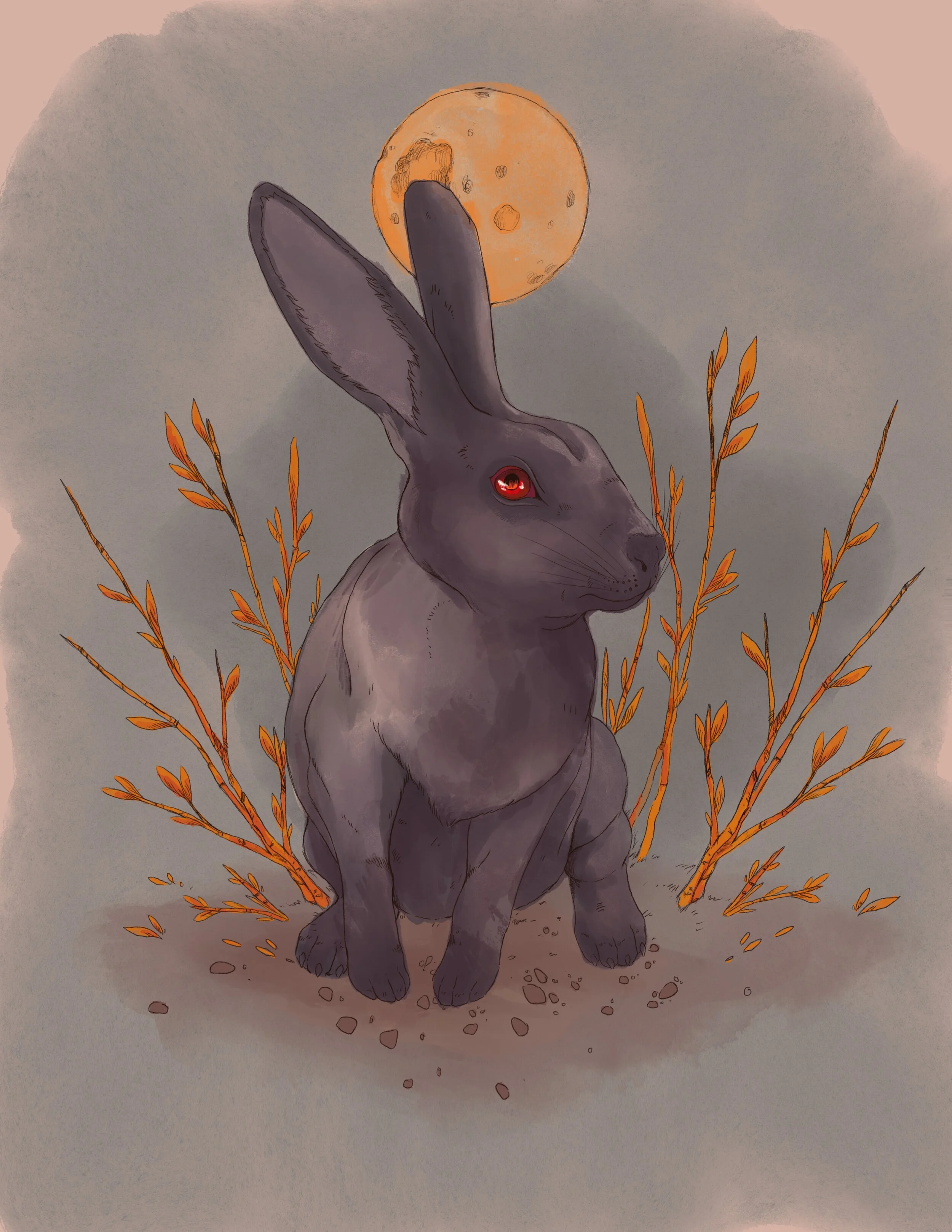 Photo Nov 09, 11 58 38 AM.jpg