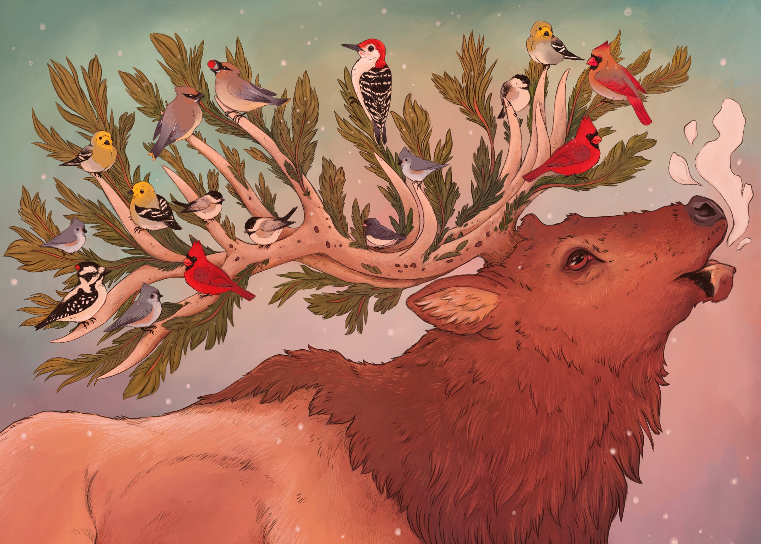 Photo Nov 14, 10 48 33 AM (2).jpg